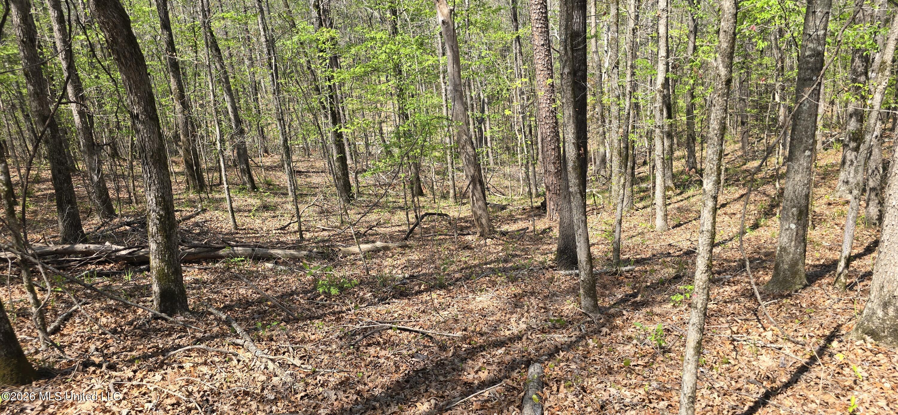 Ms-17 Property Photo 13