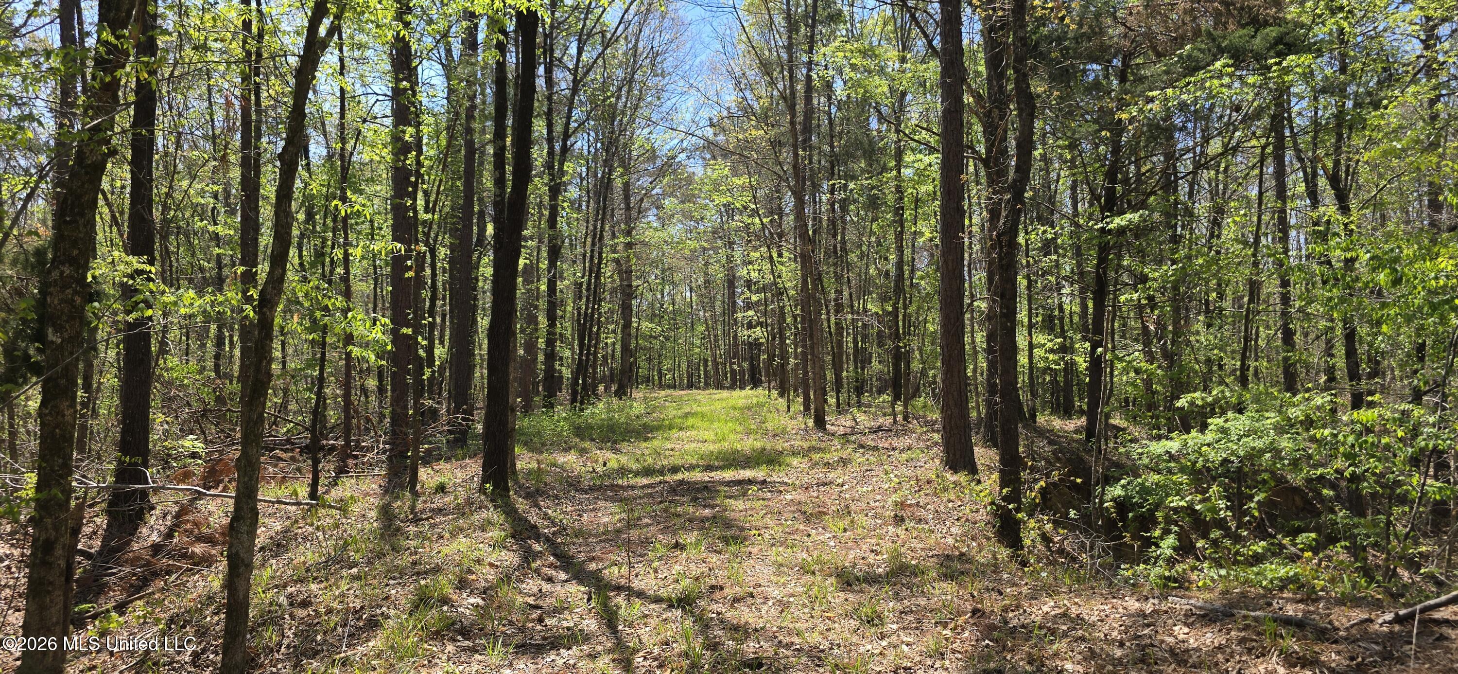 Ms-17 Property Photo 14