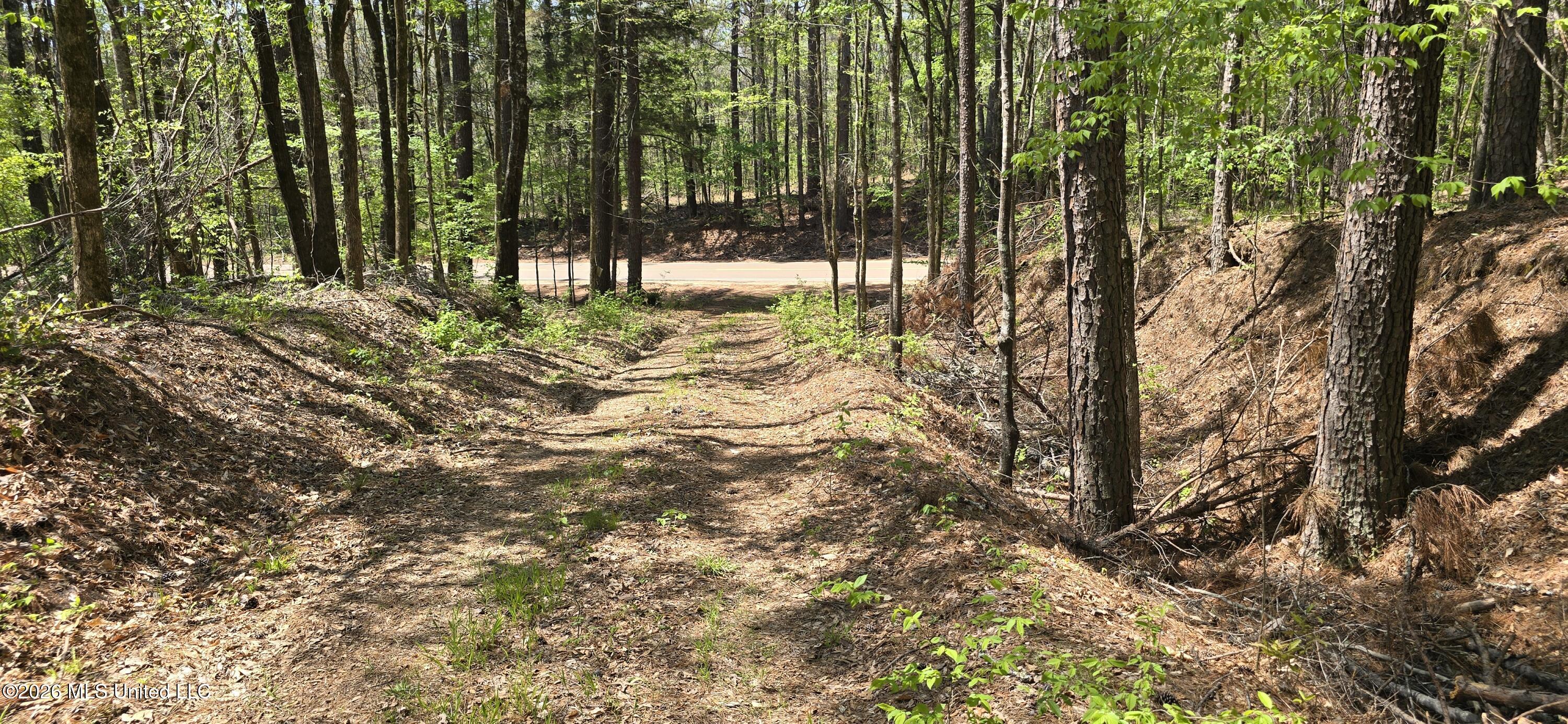 Ms-17 Property Photo 15