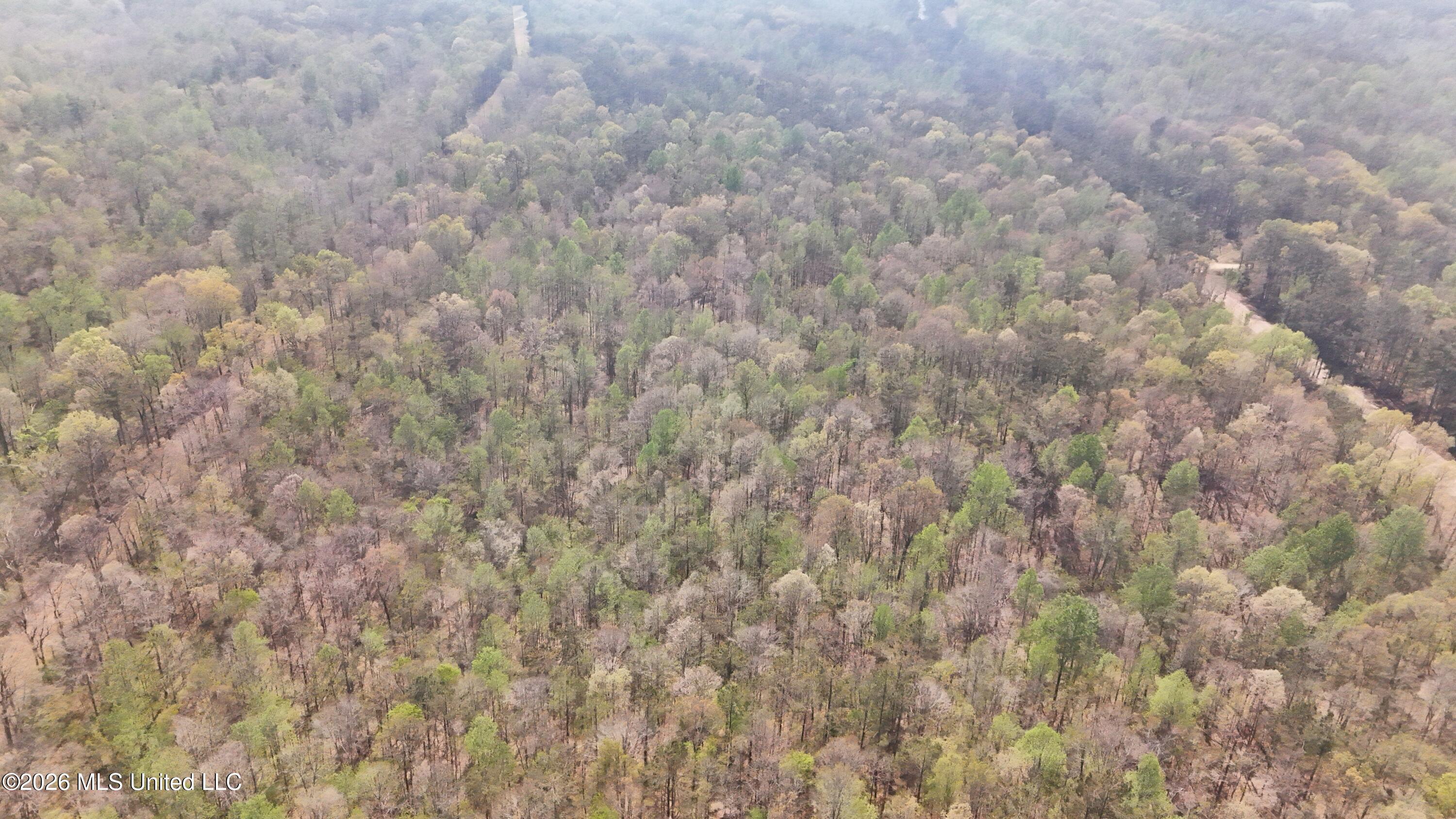 Ms-17 Property Photo 21
