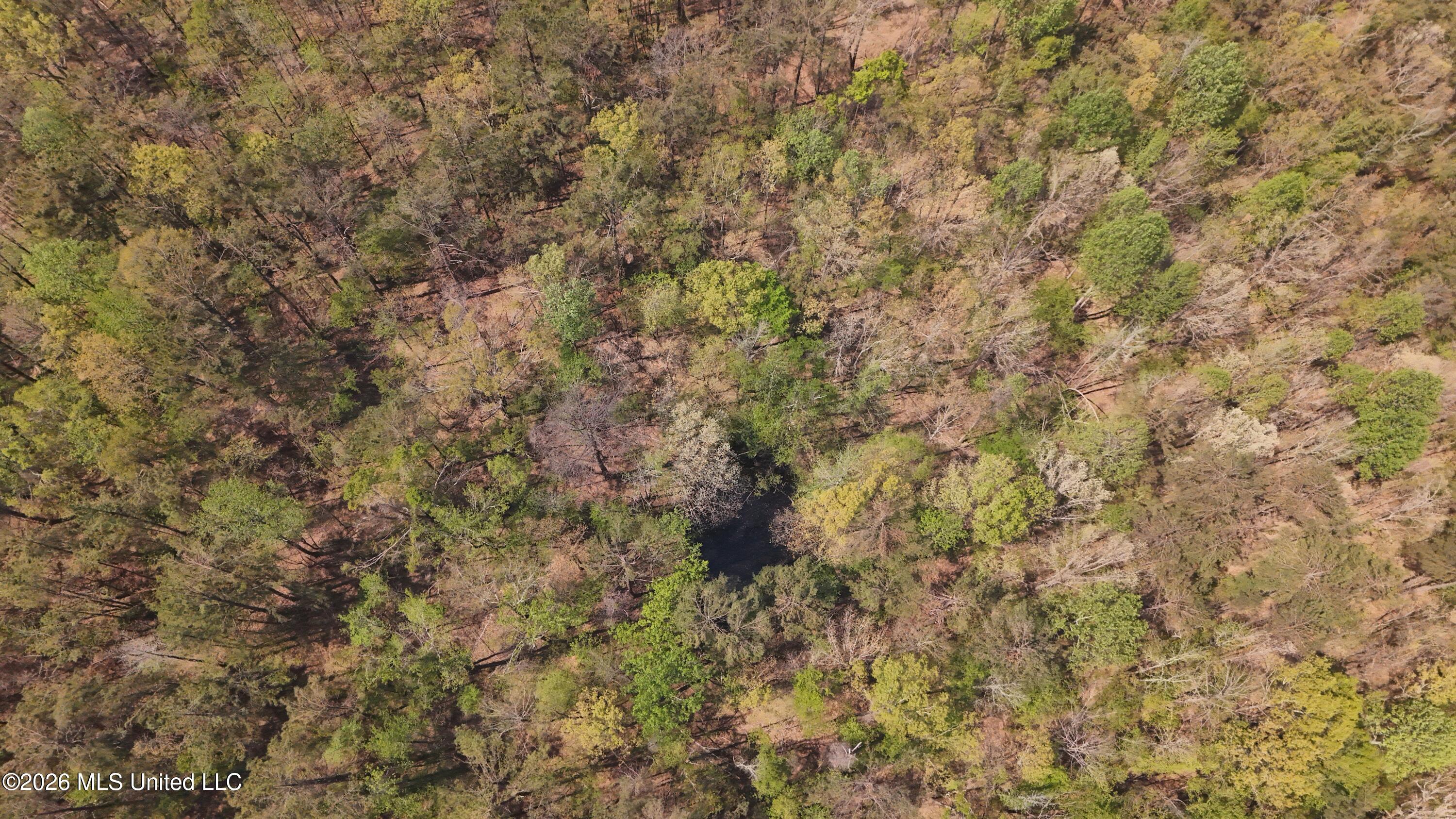 Ms-17 Property Photo 25