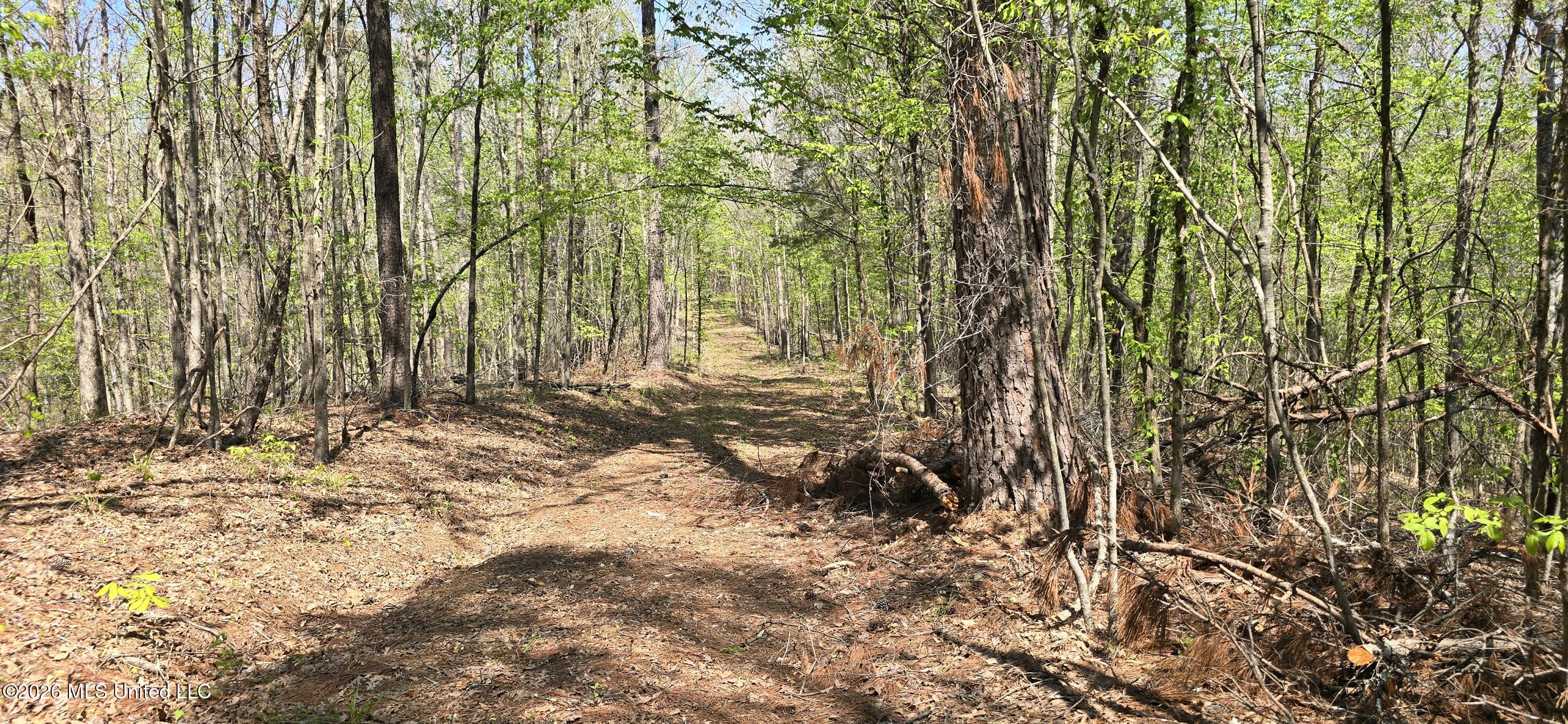 Ms-17 Property Photo 34
