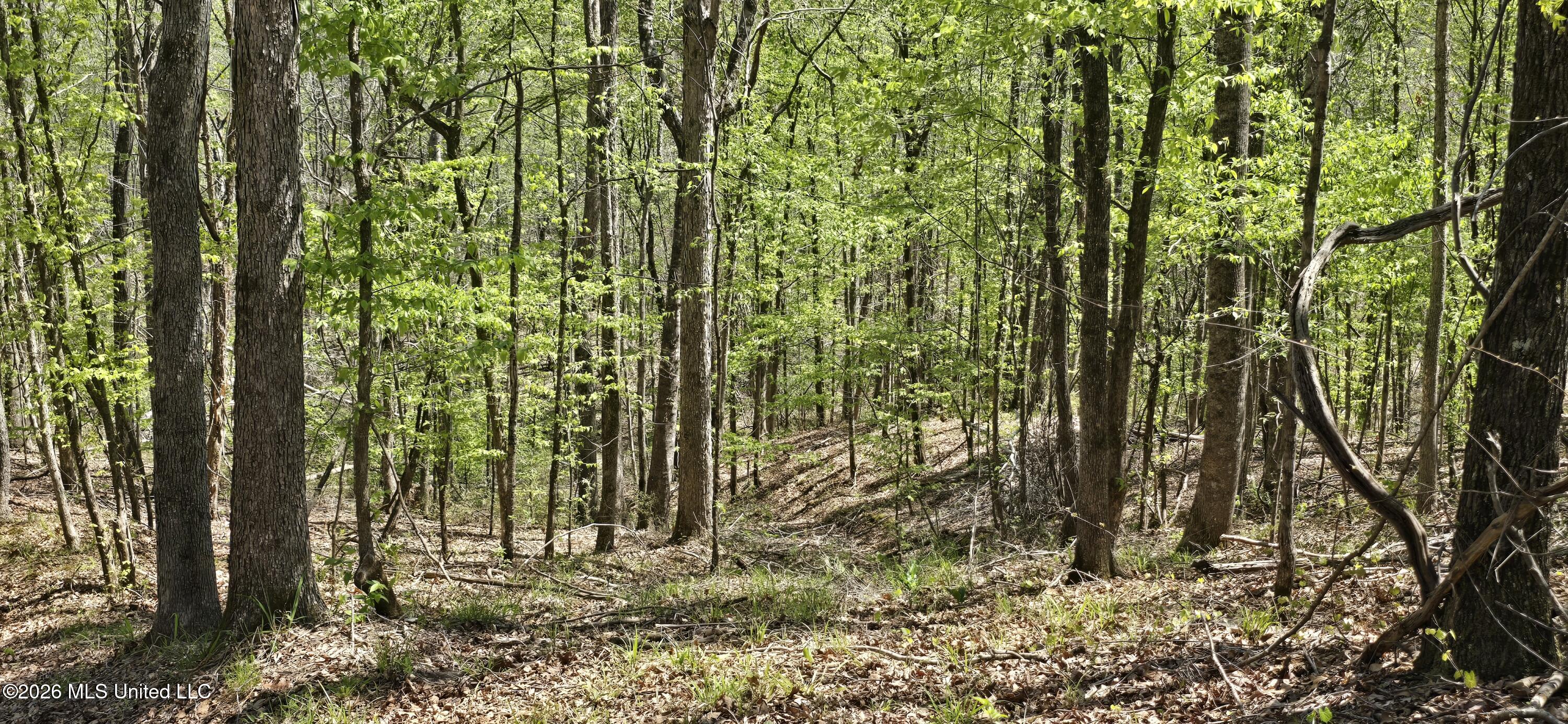 Ms-17 Property Photo 35