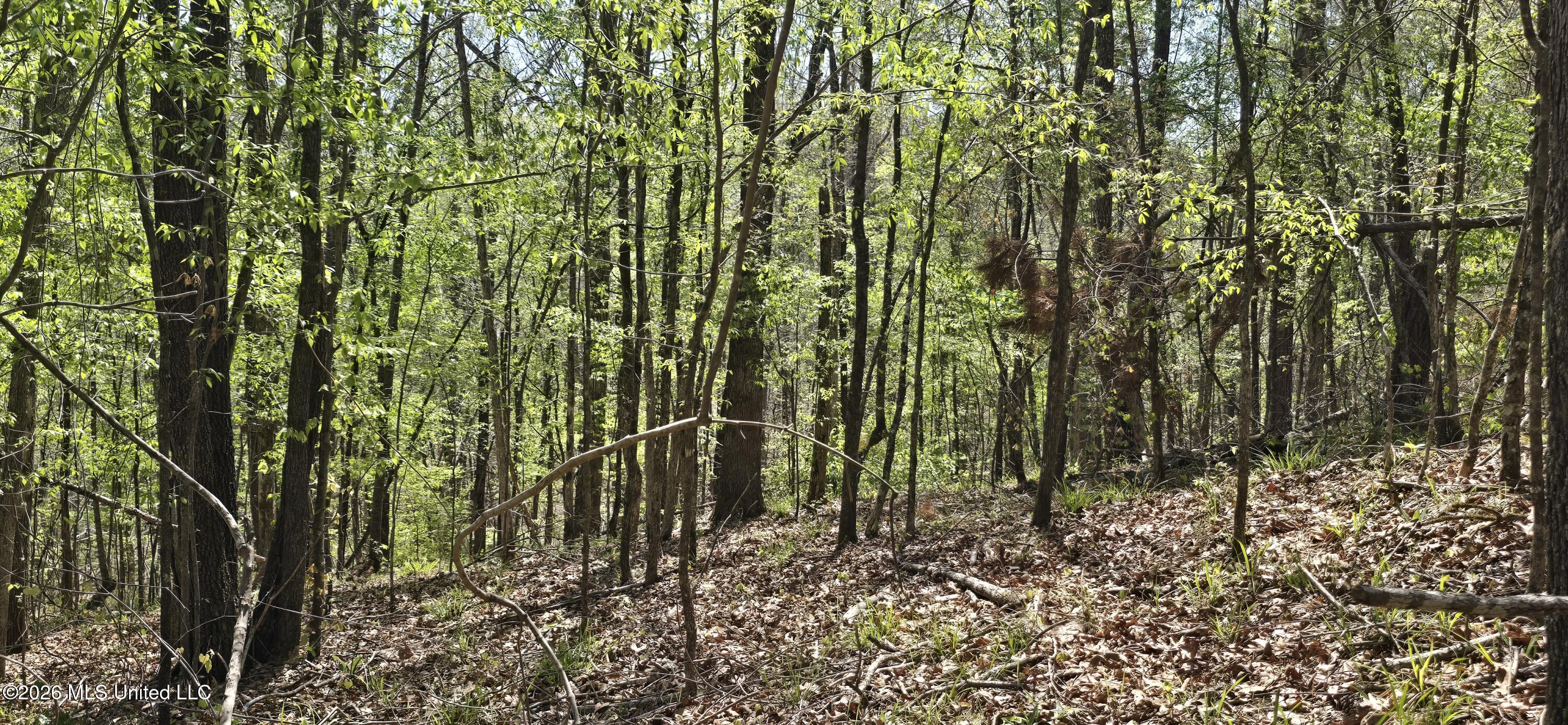 Ms-17 Property Photo 36