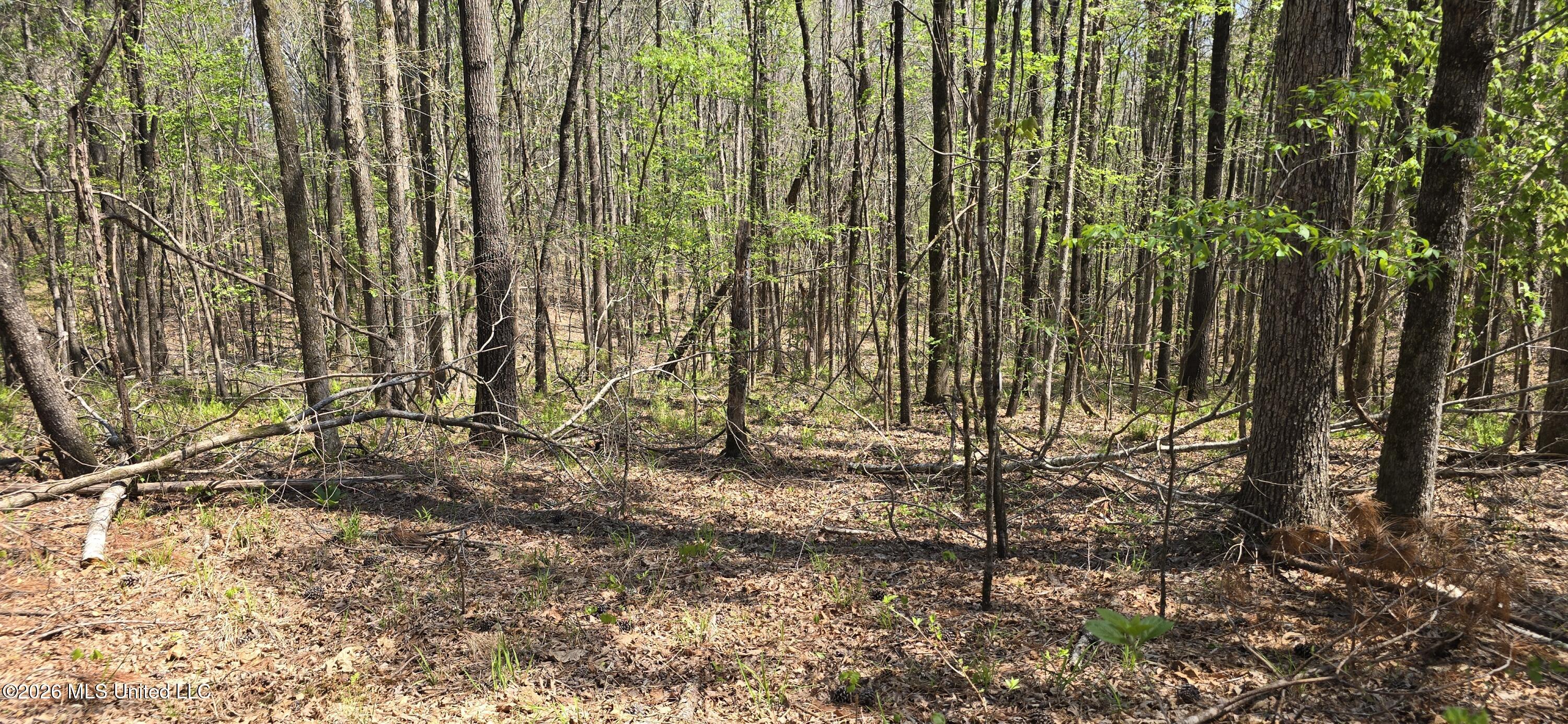 Ms-17 Property Photo 37