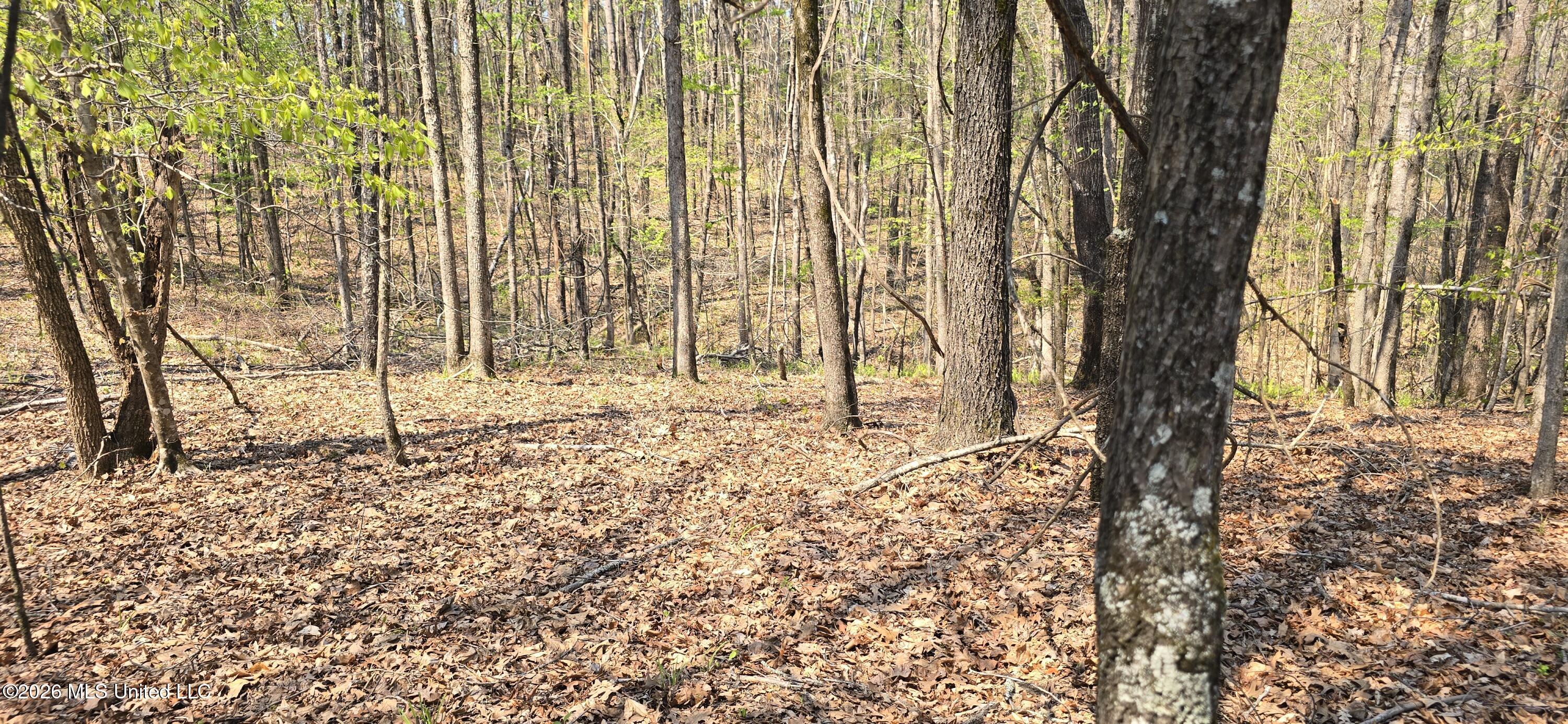 Ms-17 Property Photo 39