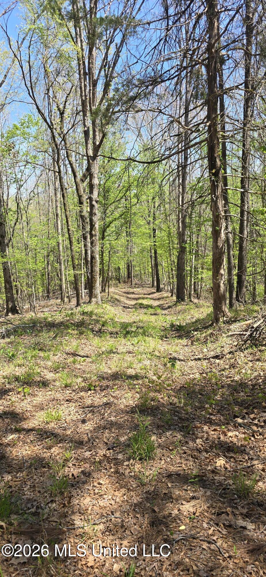 Ms-17 Property Photo 40