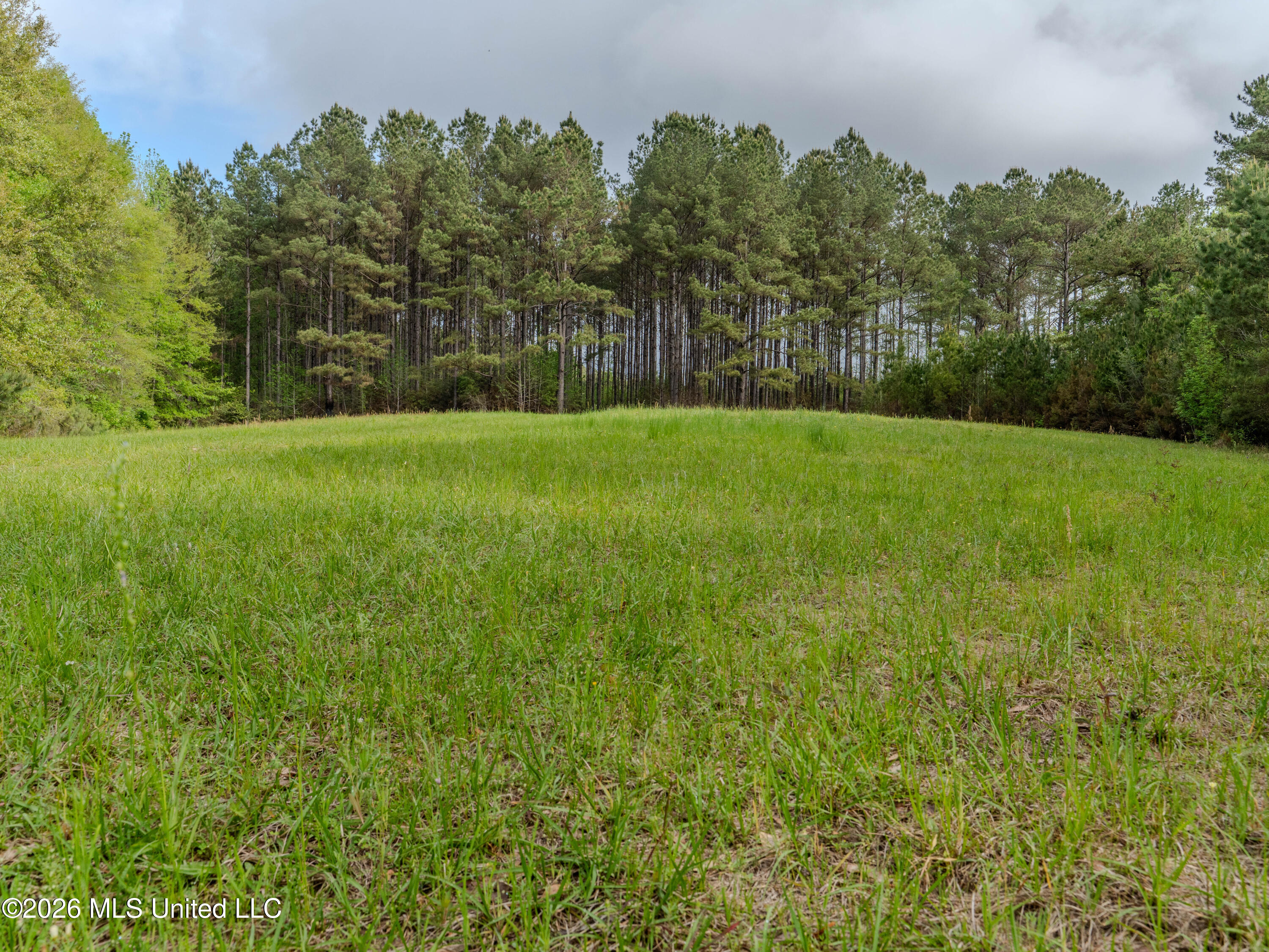 501 Stanford Lake Road Property Photo 4