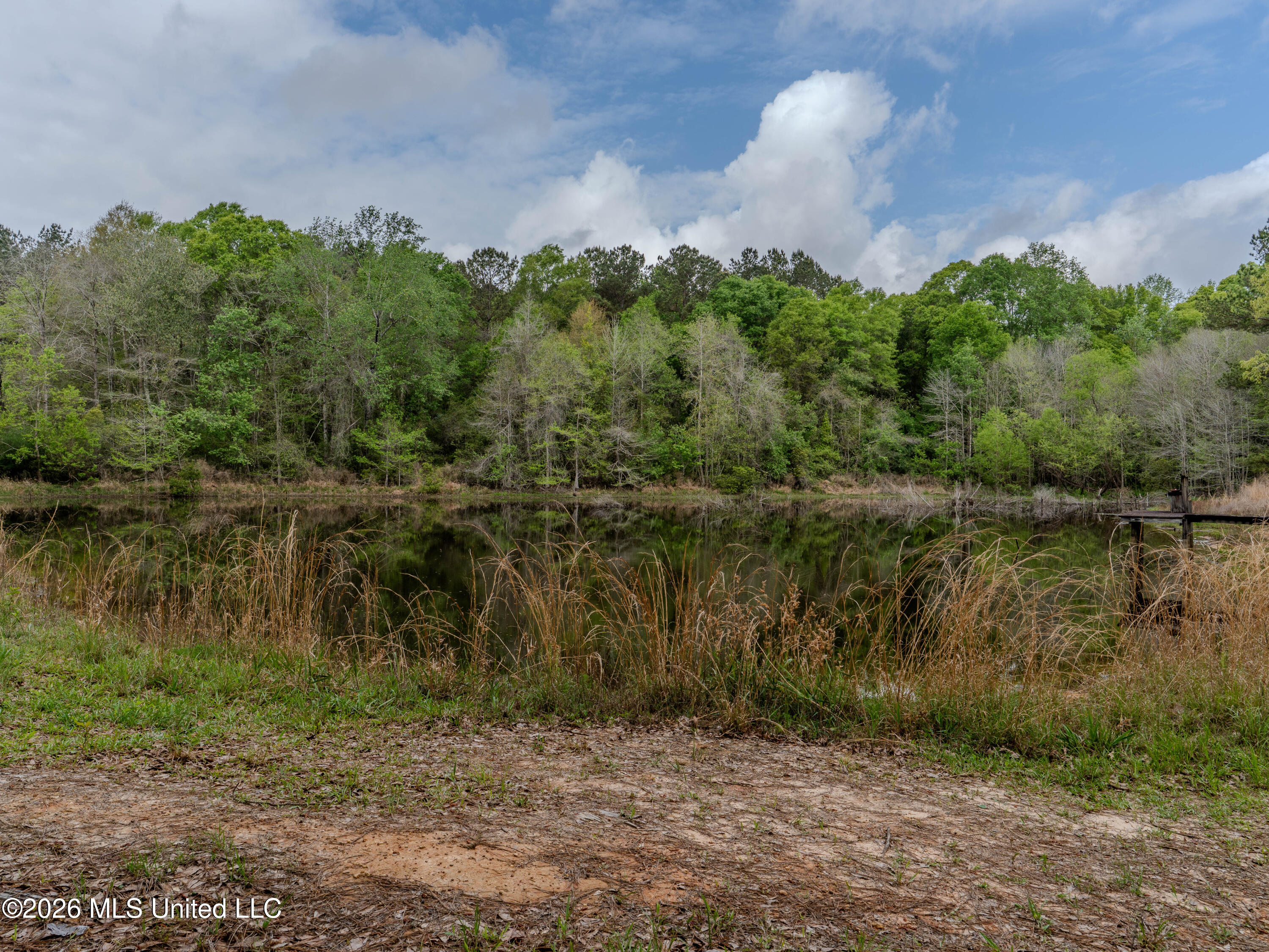 501 Stanford Lake Road Property Photo 14