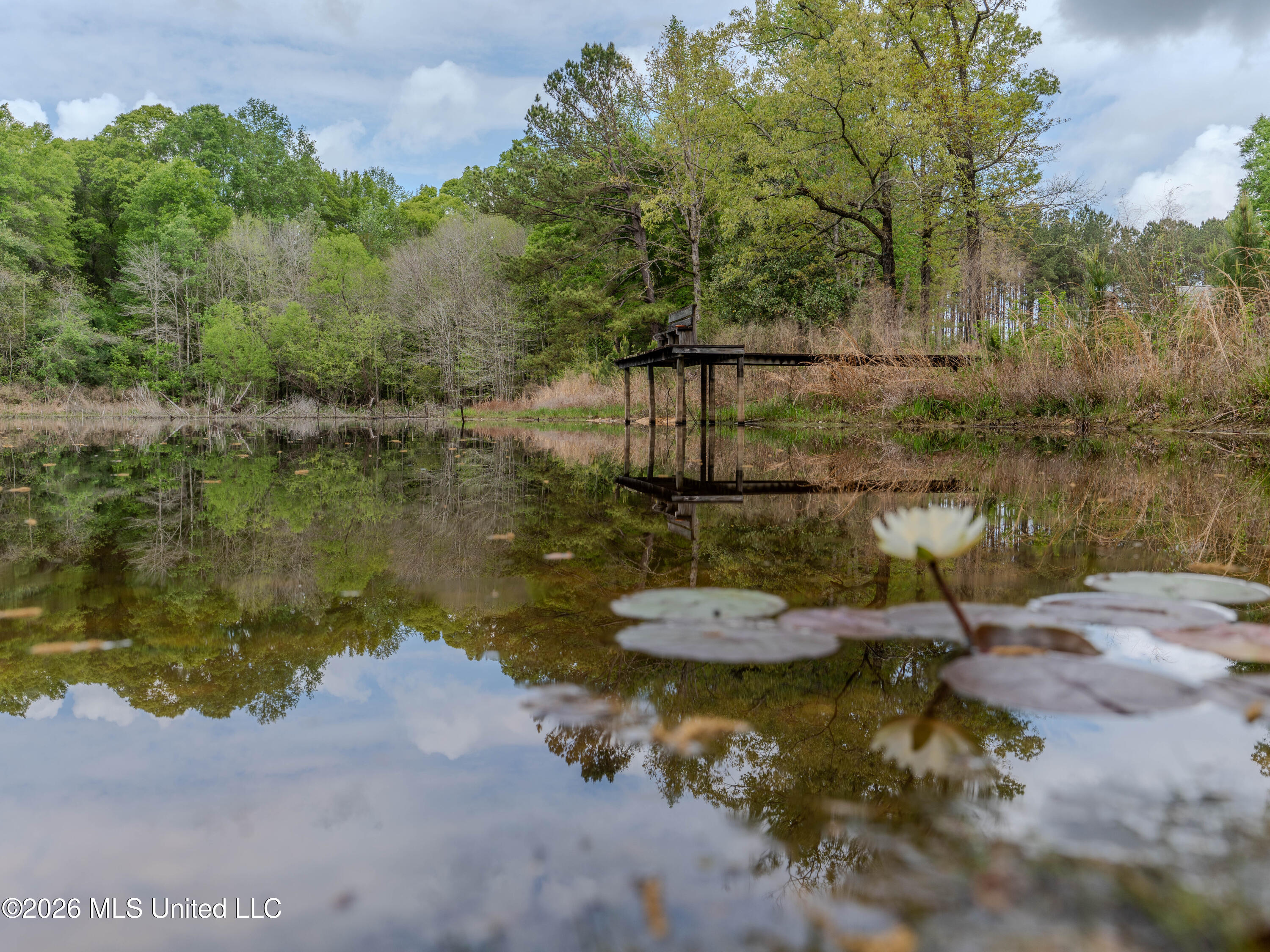 501 Stanford Lake Road Property Photo 16