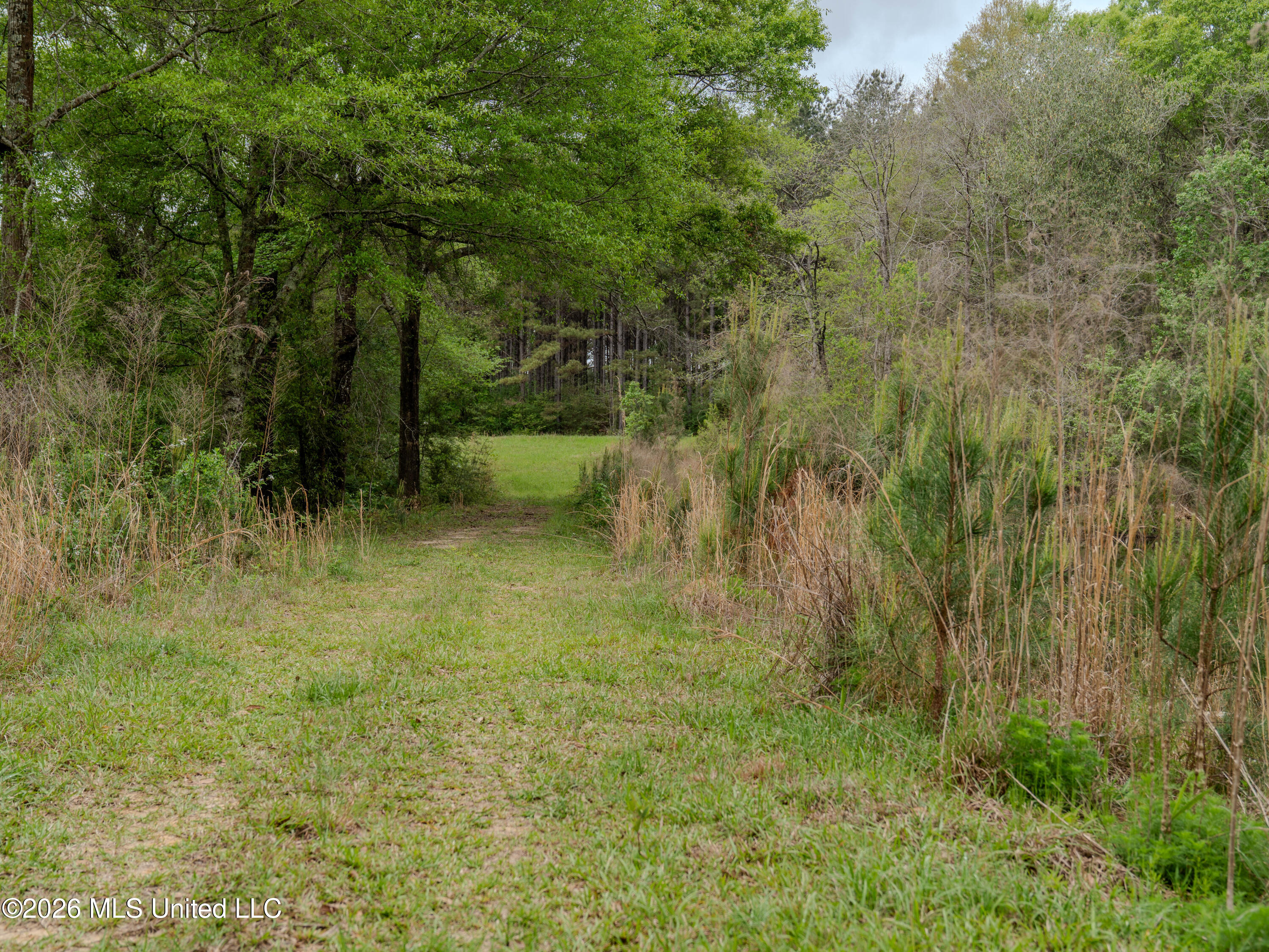 501 Stanford Lake Road Property Photo 17