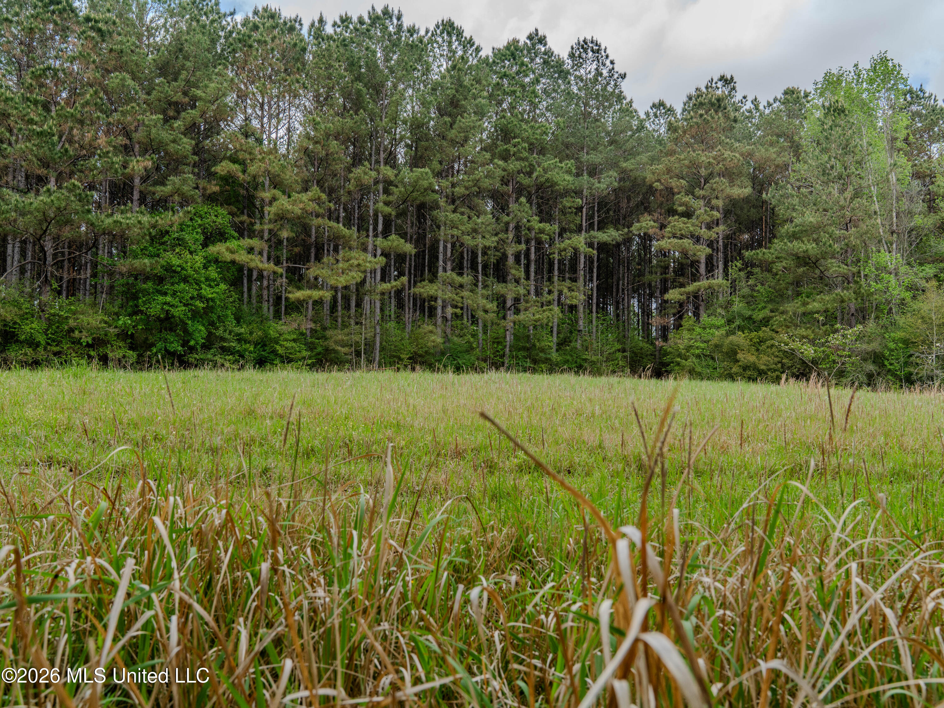 501 Stanford Lake Road Property Photo 23