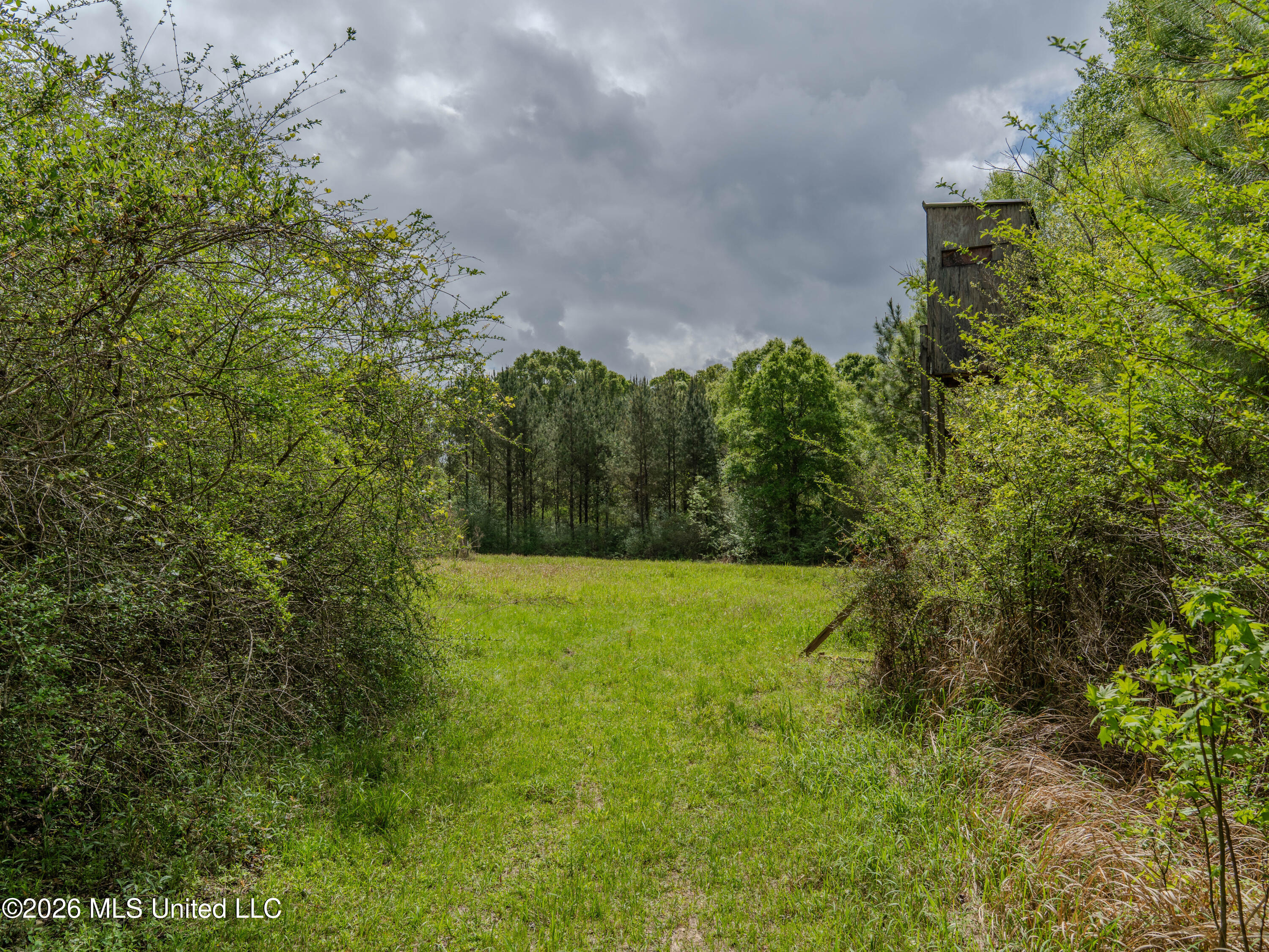 501 Stanford Lake Road Property Photo 24