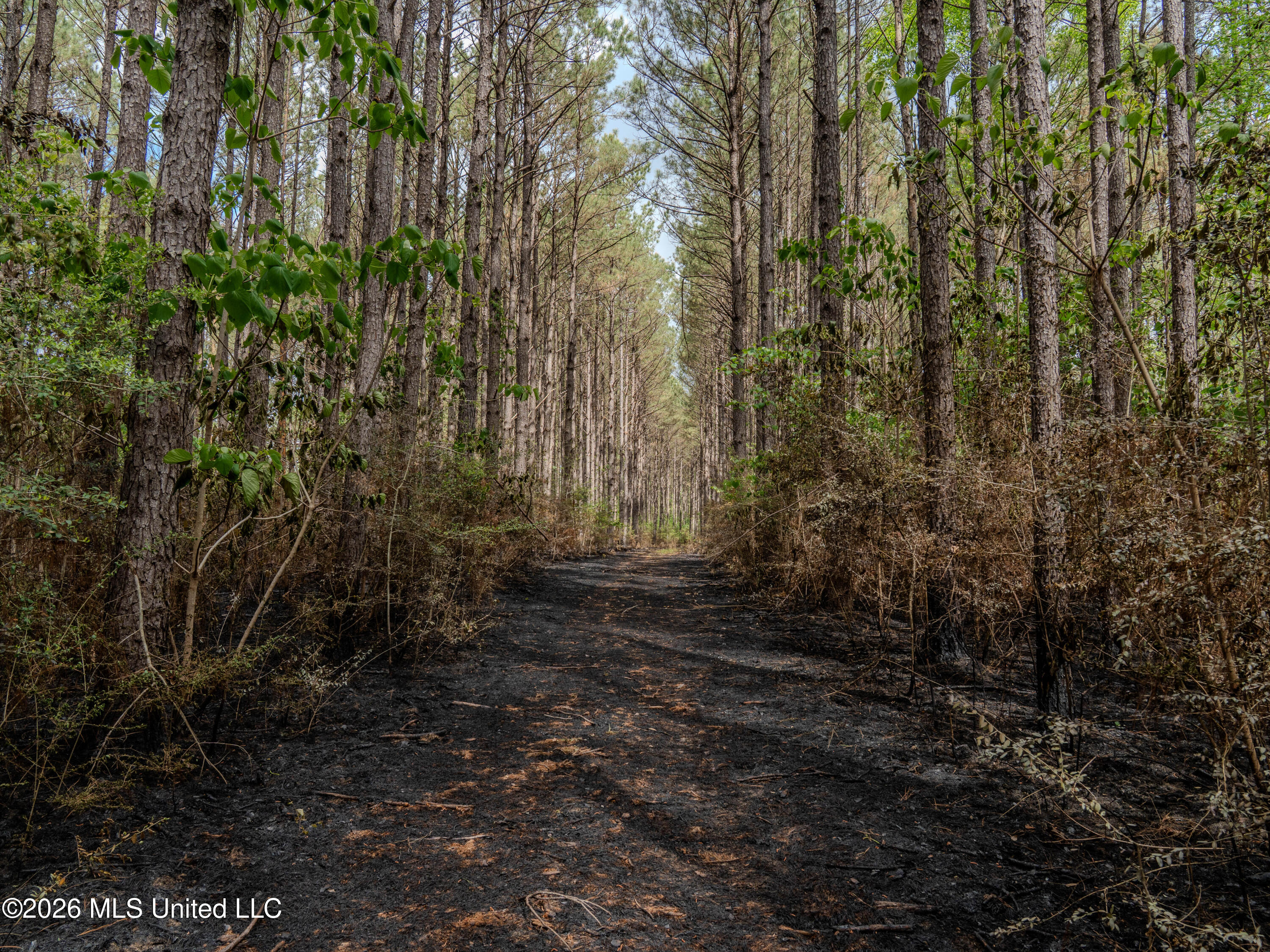 501 Stanford Lake Road Property Photo 25