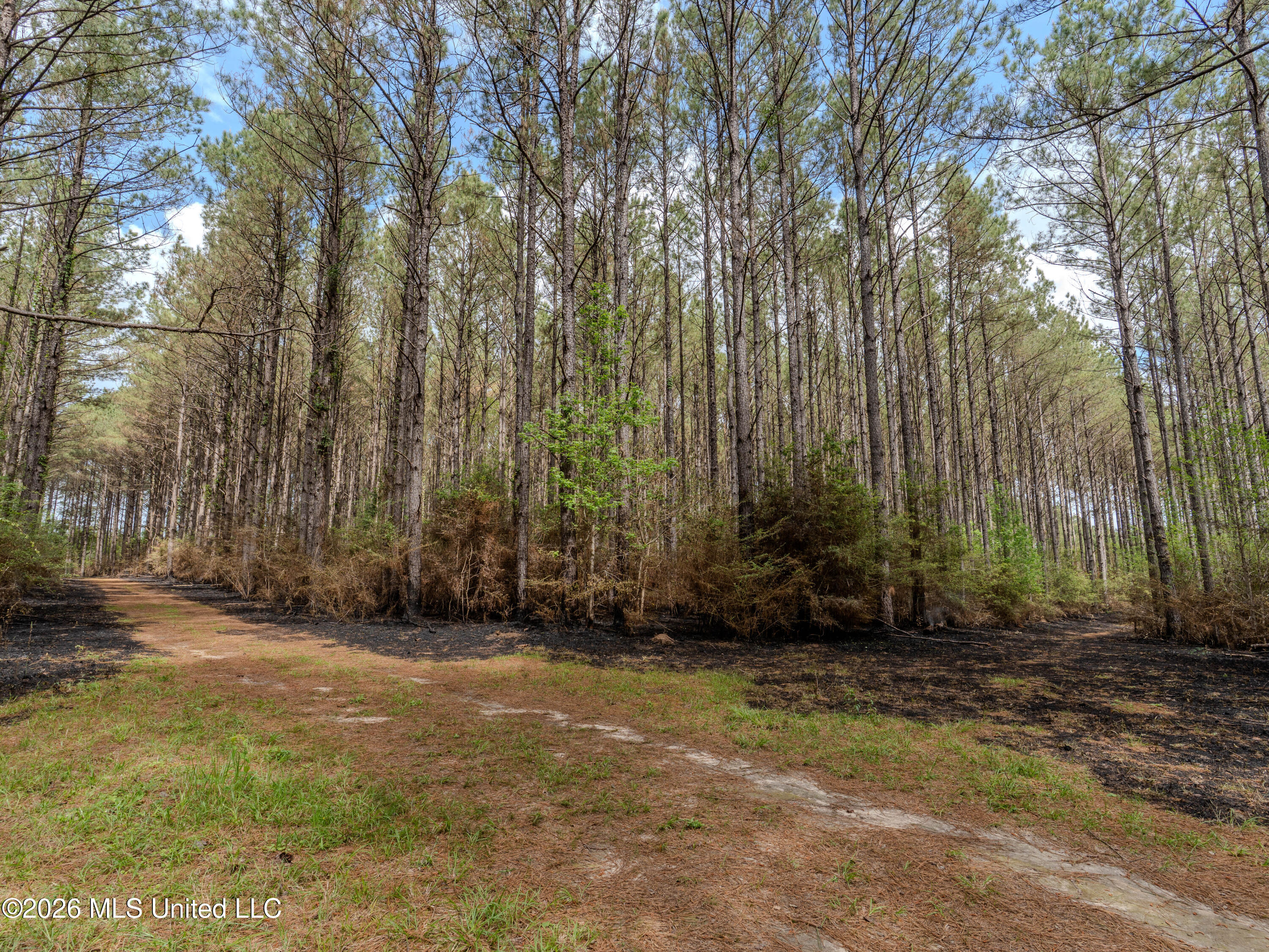 501 Stanford Lake Road Property Photo 29