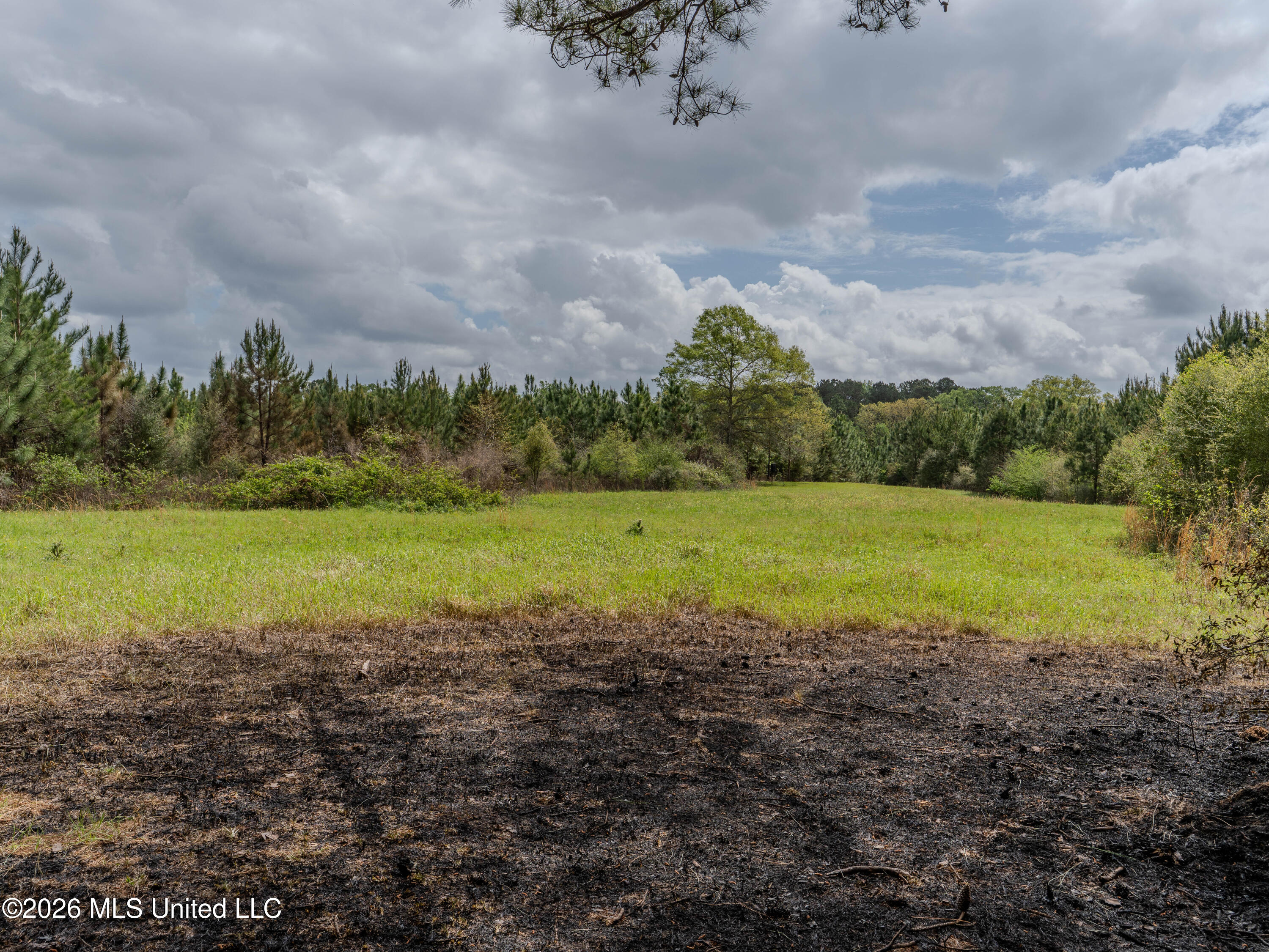 501 Stanford Lake Road Property Photo 30
