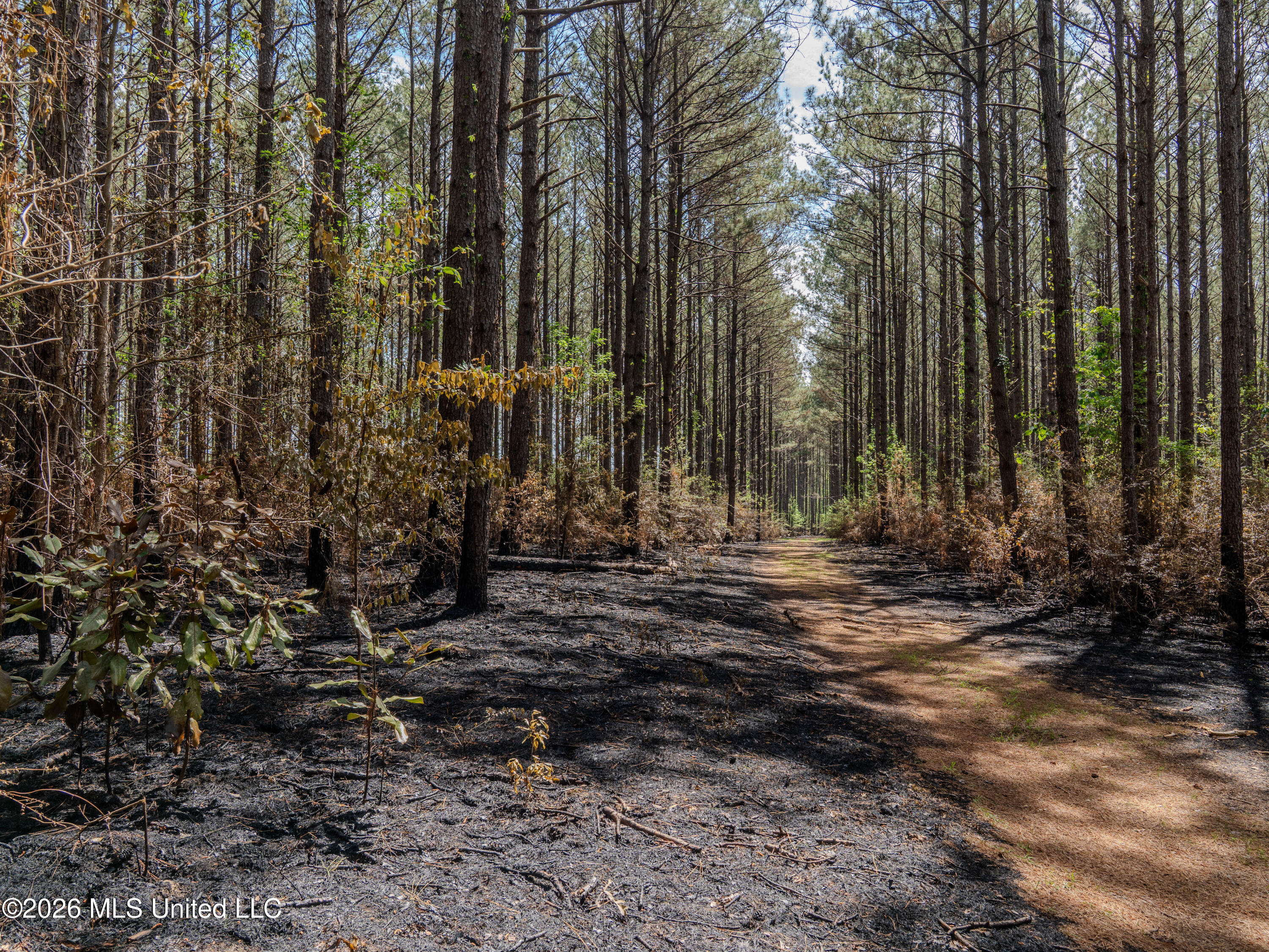 501 Stanford Lake Road Property Photo 32