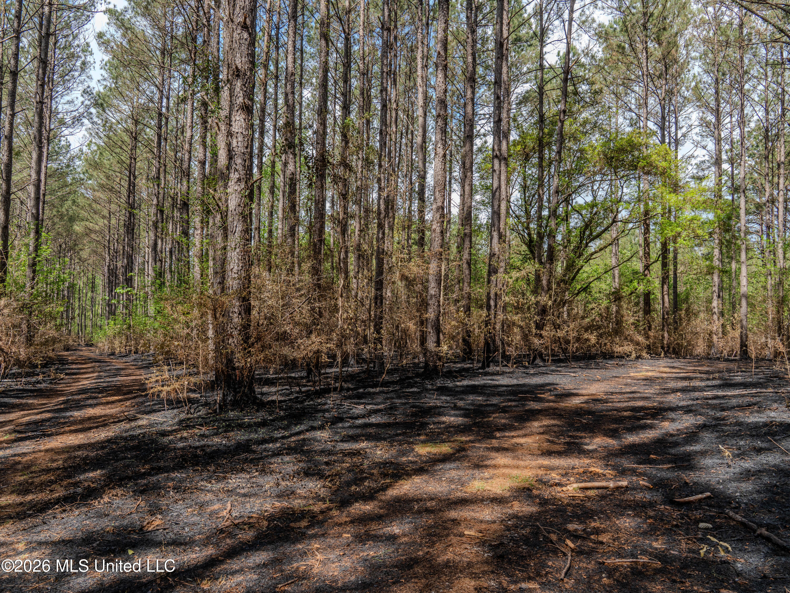 501 Stanford Lake Road Property Photo 33
