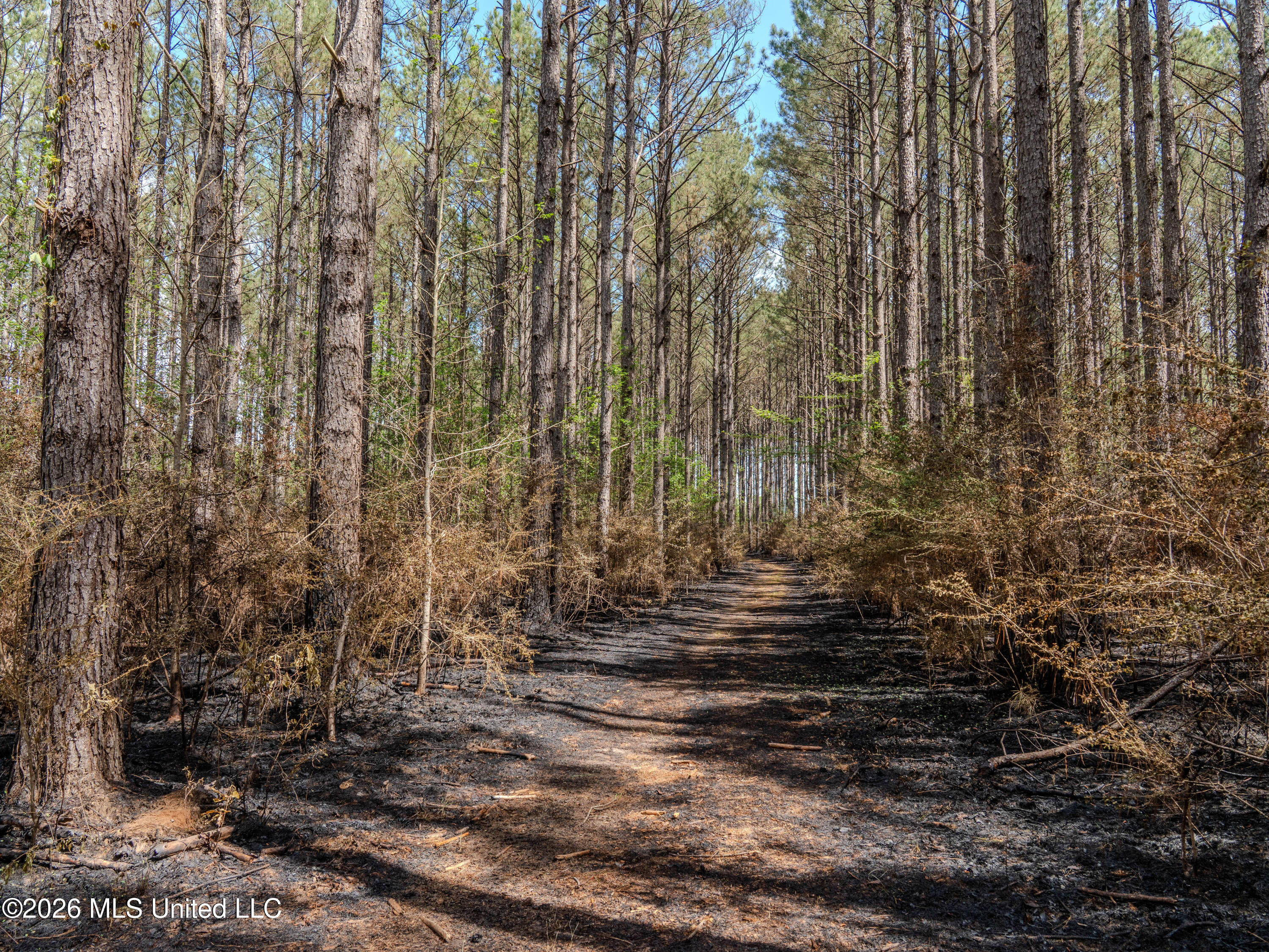 501 Stanford Lake Road Property Photo 34
