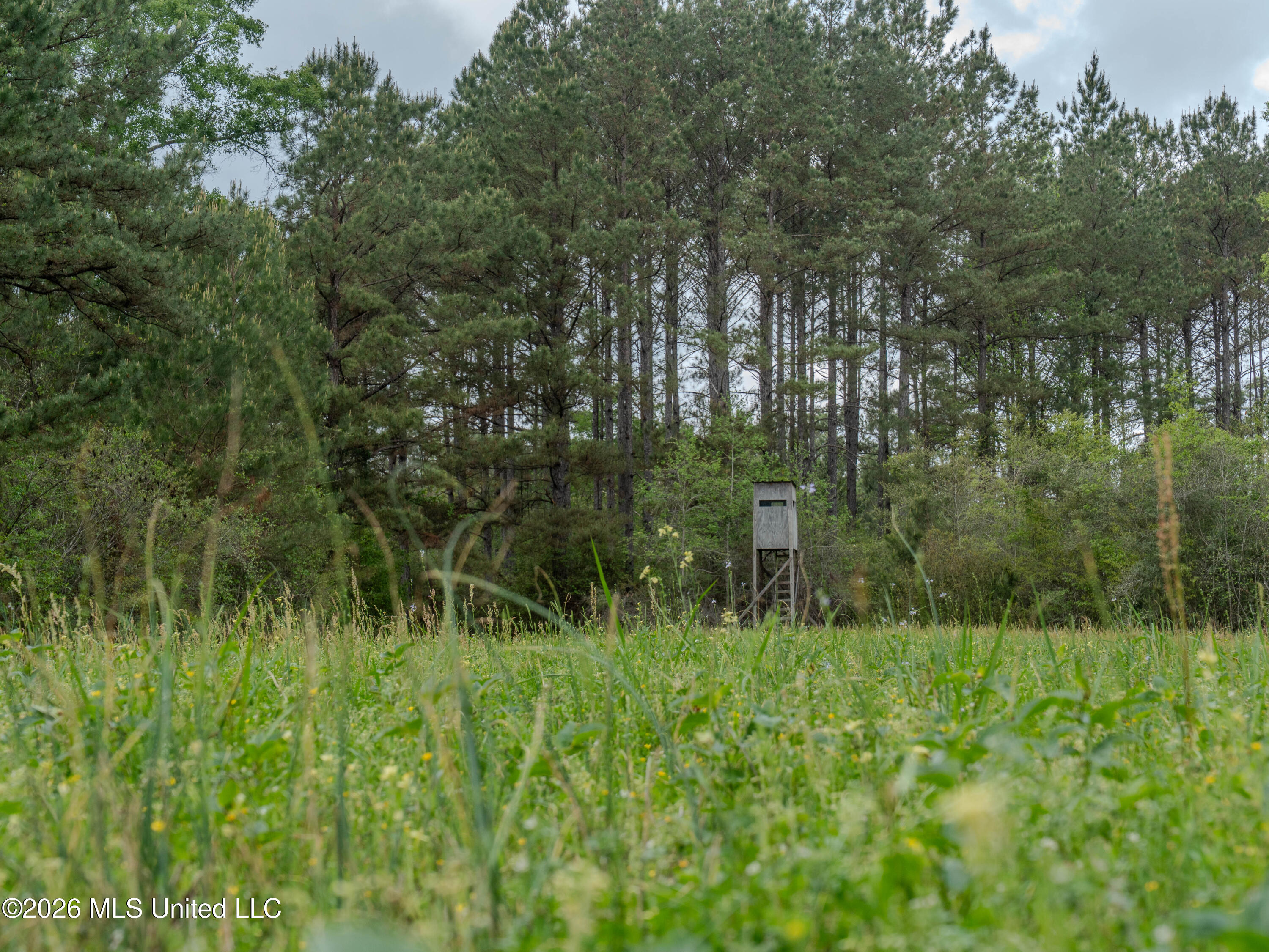 501 Stanford Lake Road Property Photo 40