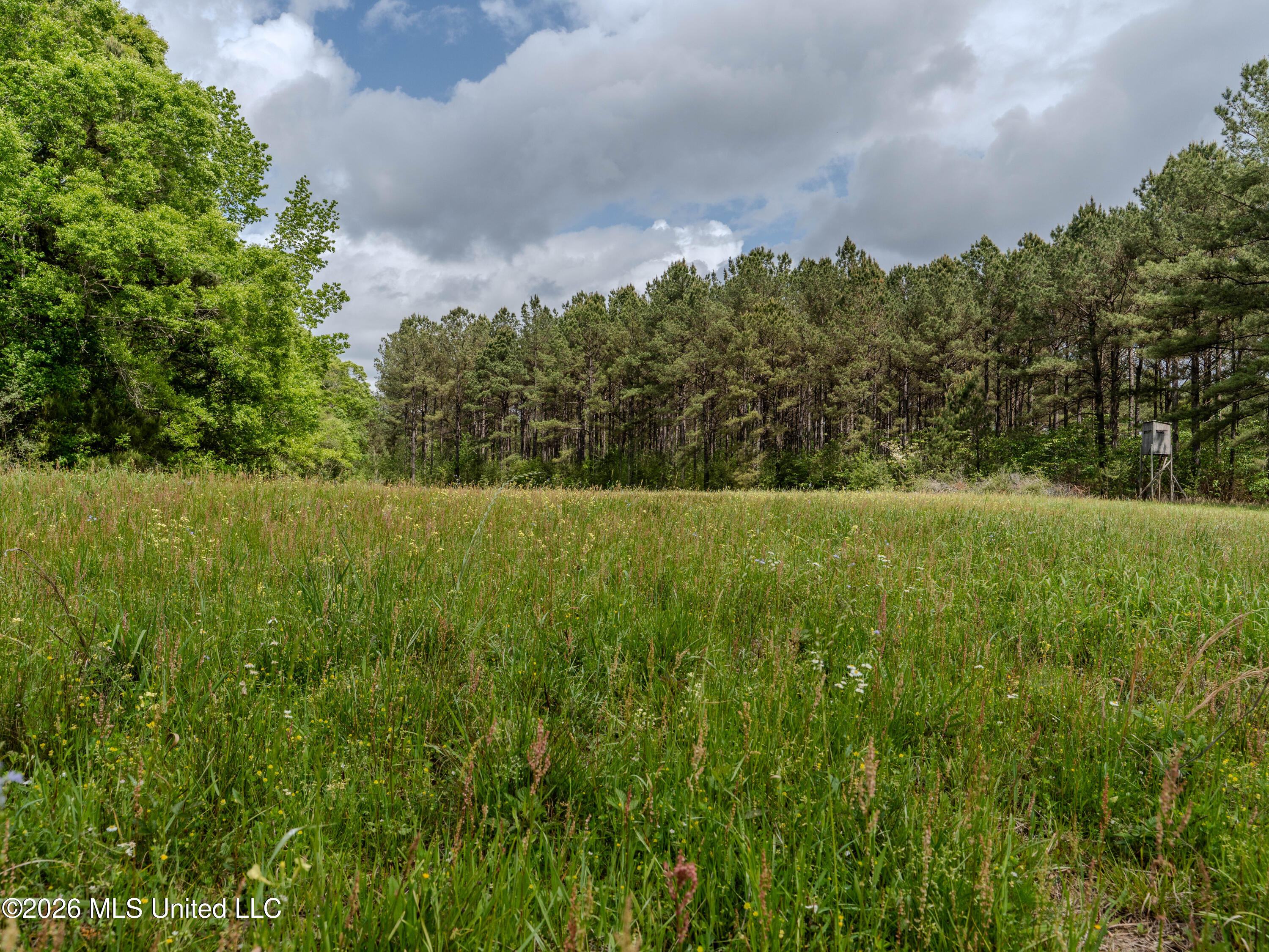 501 Stanford Lake Road Property Photo 42