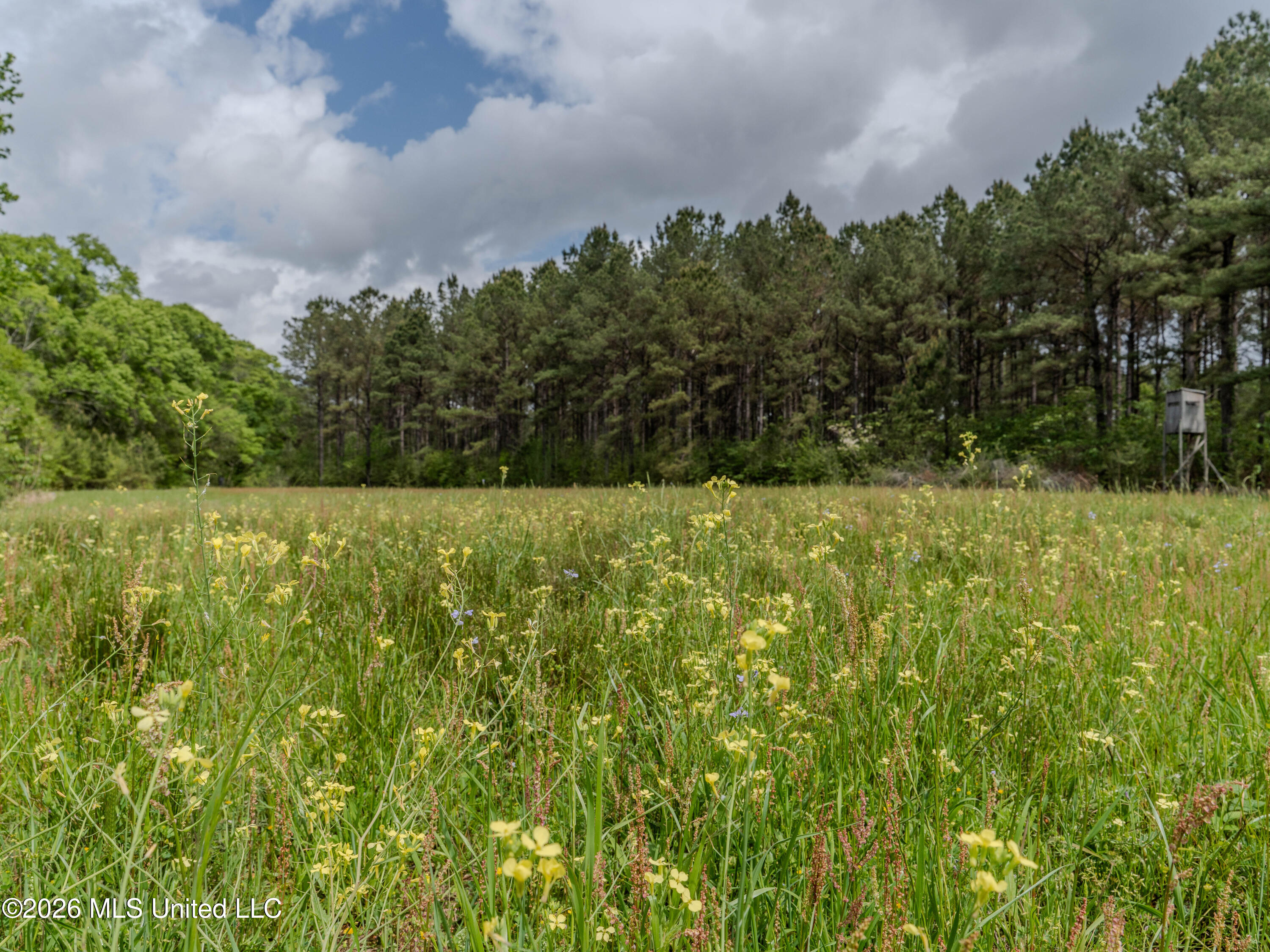 501 Stanford Lake Road Property Photo 43