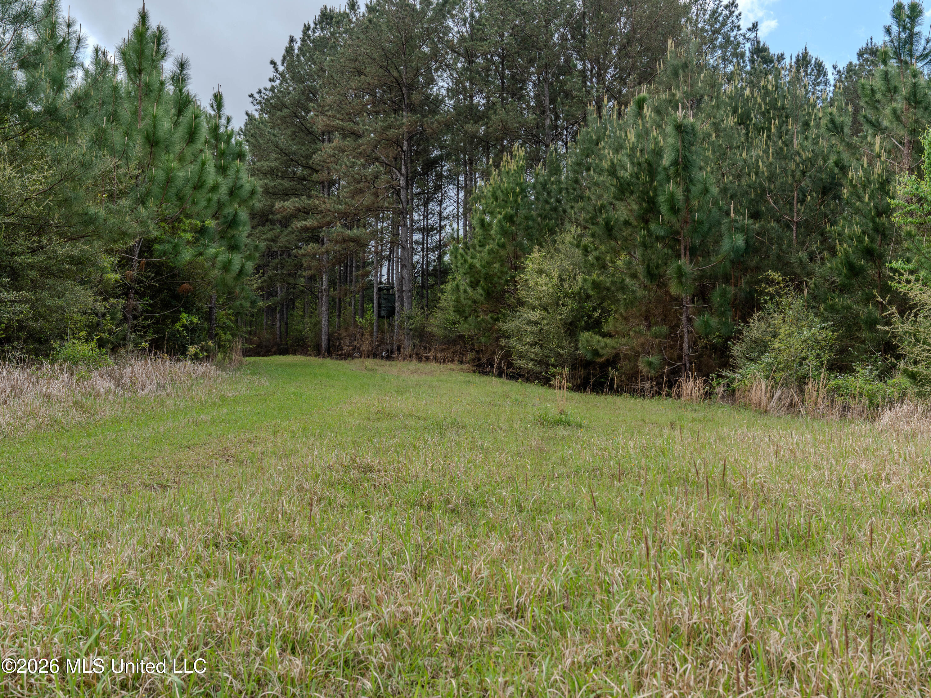 501 Stanford Lake Road Property Photo 44