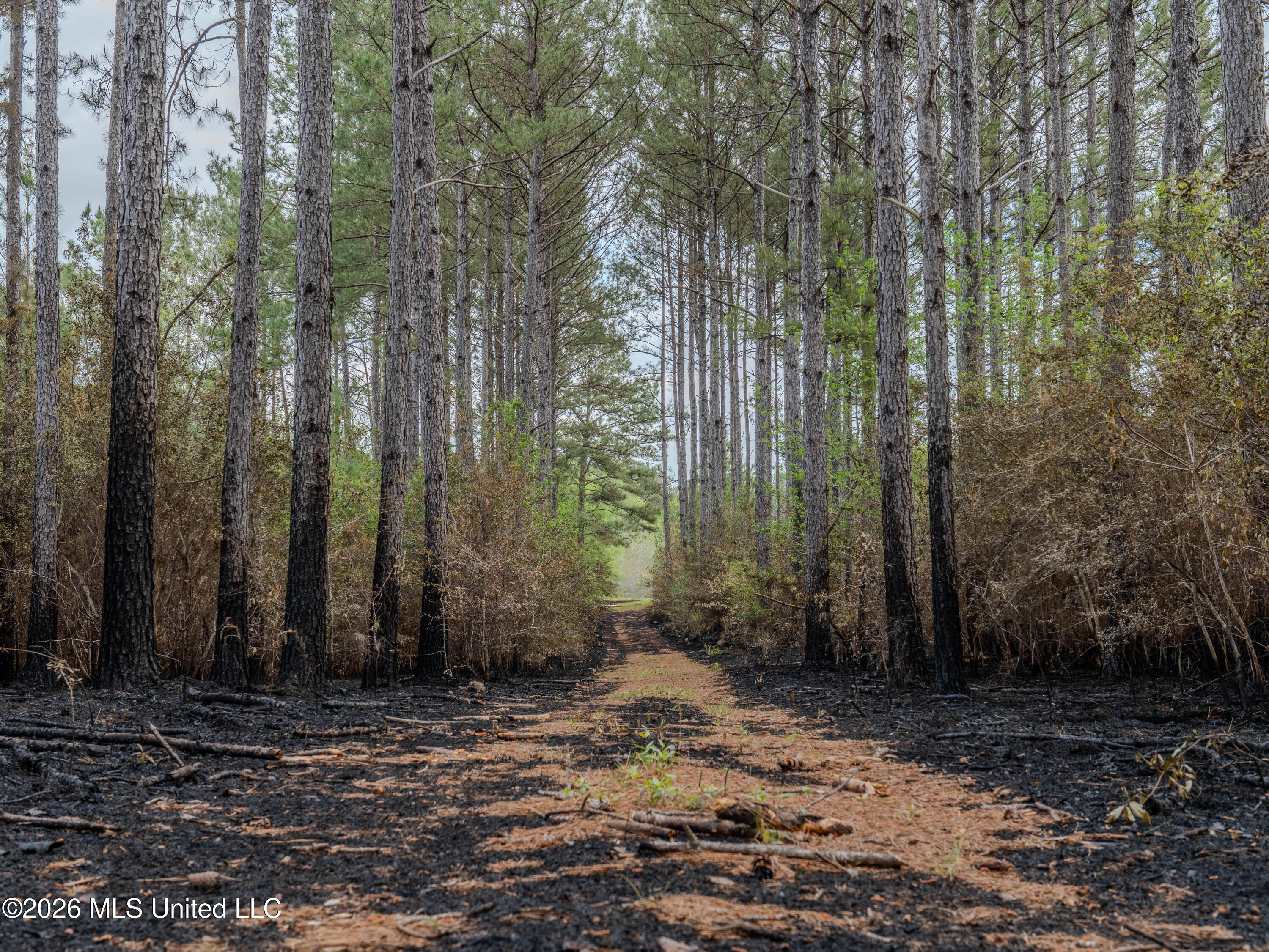 501 Stanford Lake Road Property Photo 45