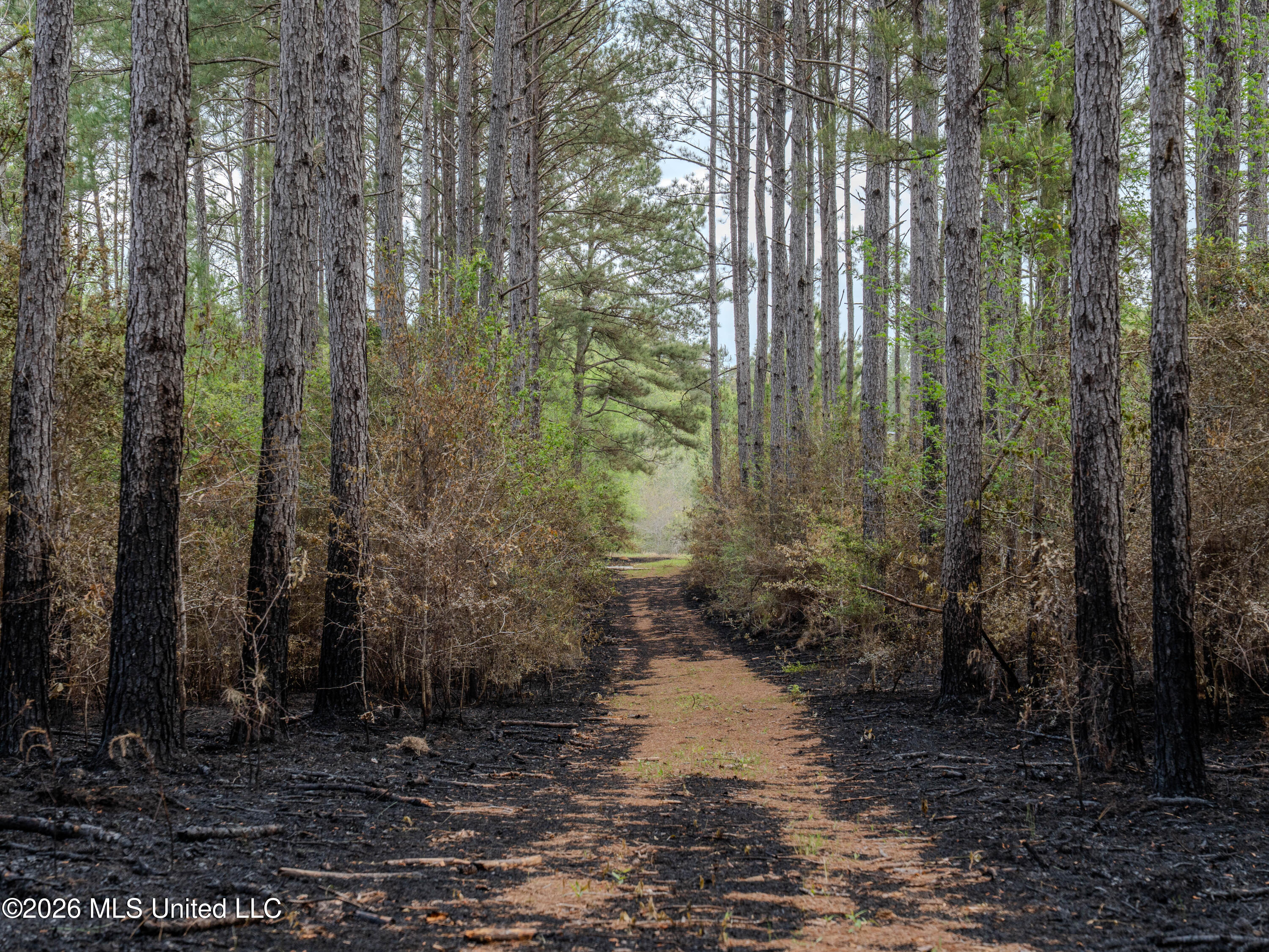 501 Stanford Lake Road Property Photo 46