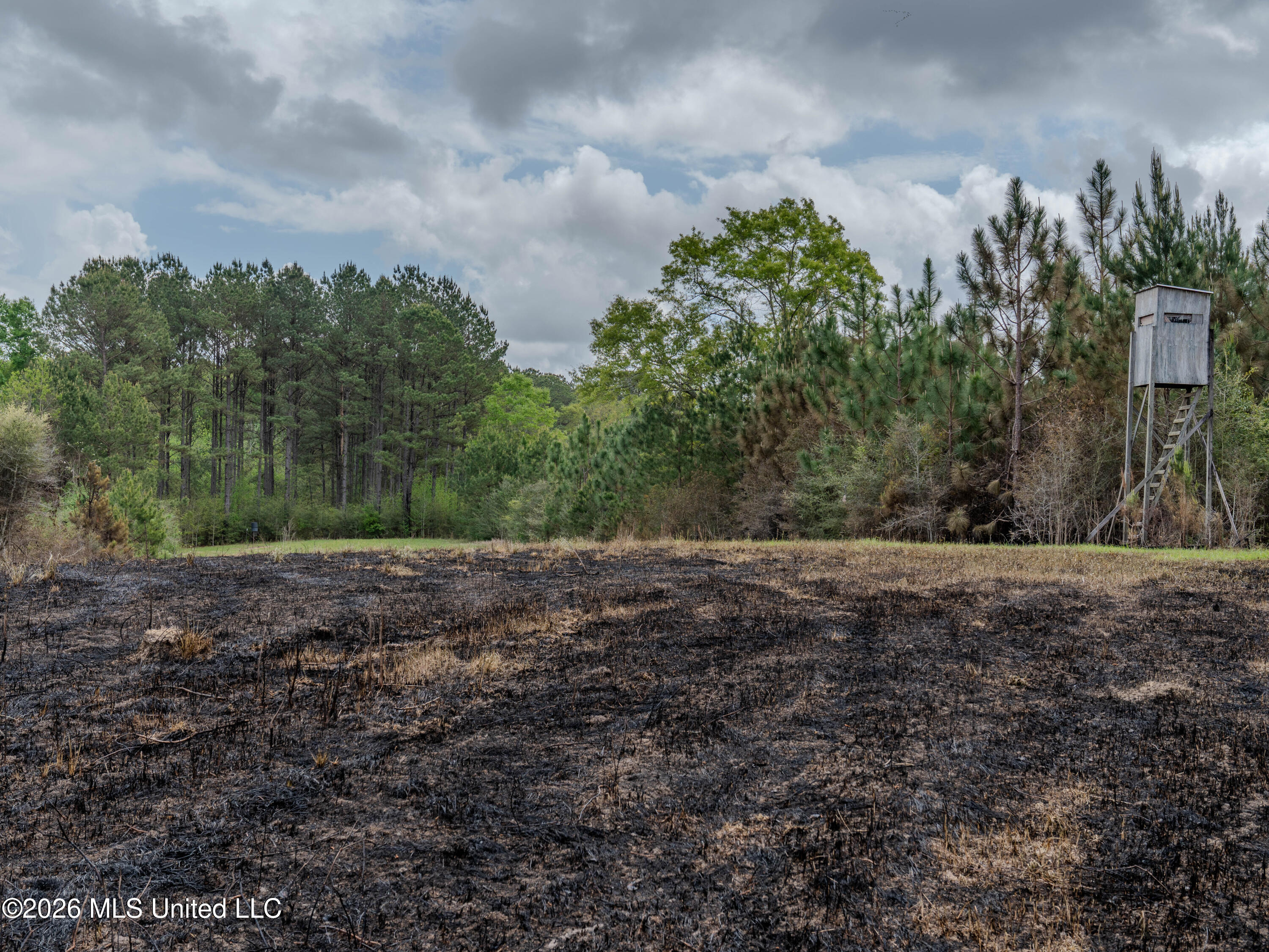 501 Stanford Lake Road Property Photo 47