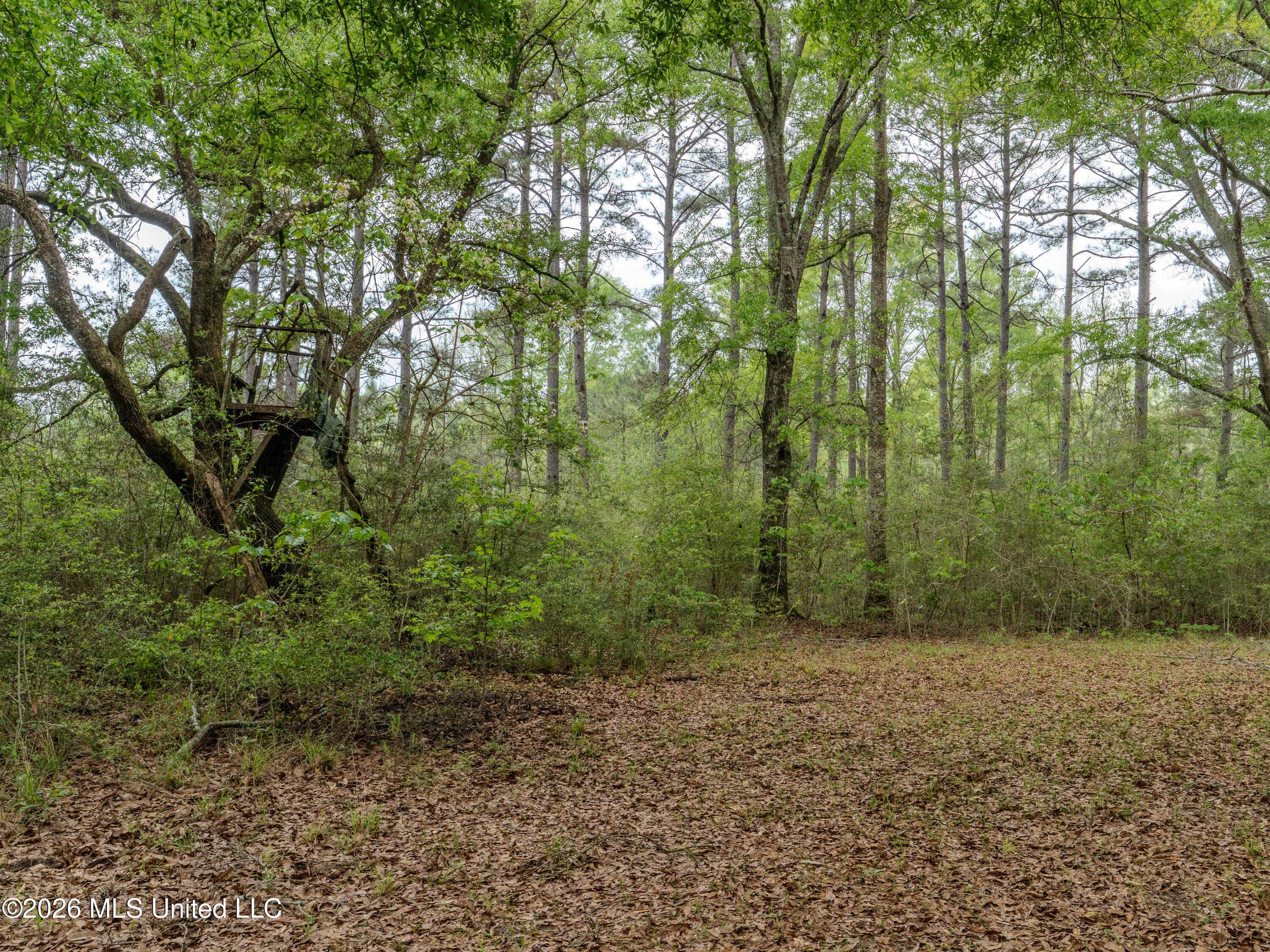 501 Stanford Lake Road Property Photo 48