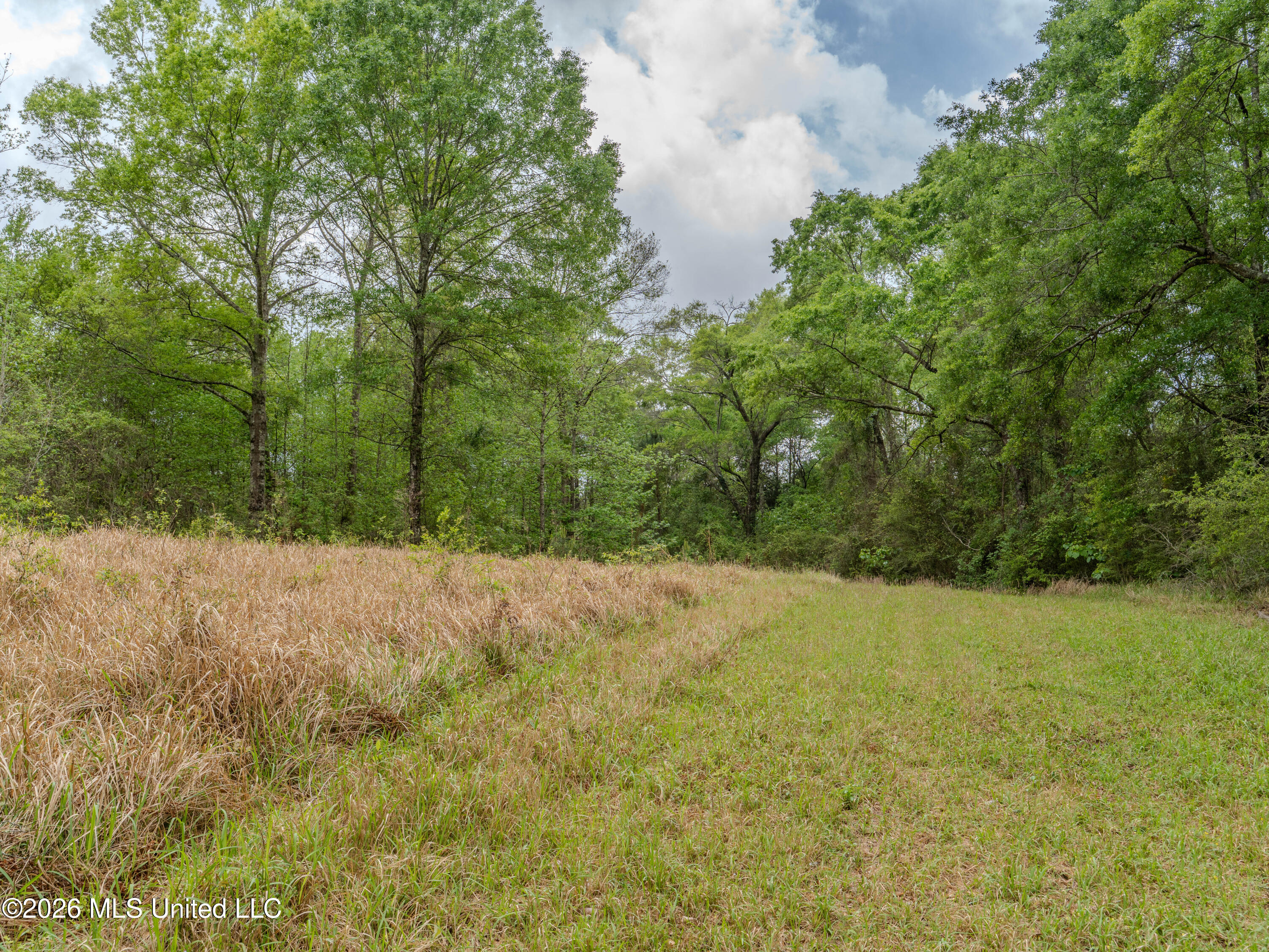 501 Stanford Lake Road Property Photo 49