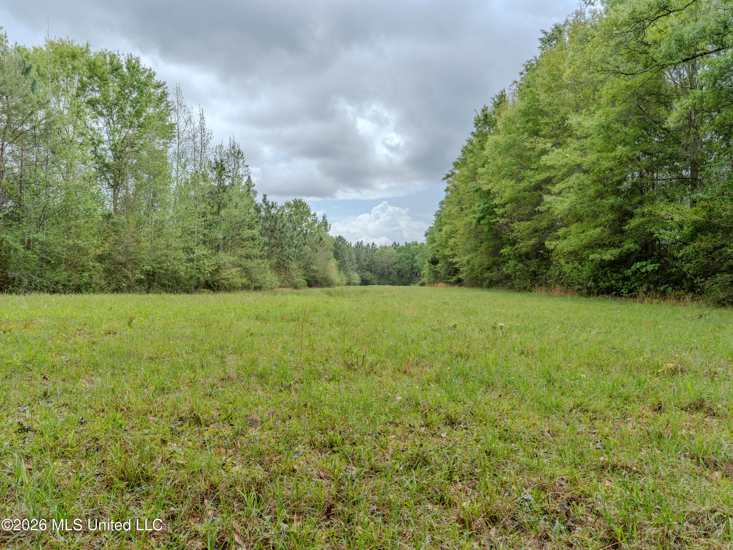 501 Stanford Lake Road Property Photo 50