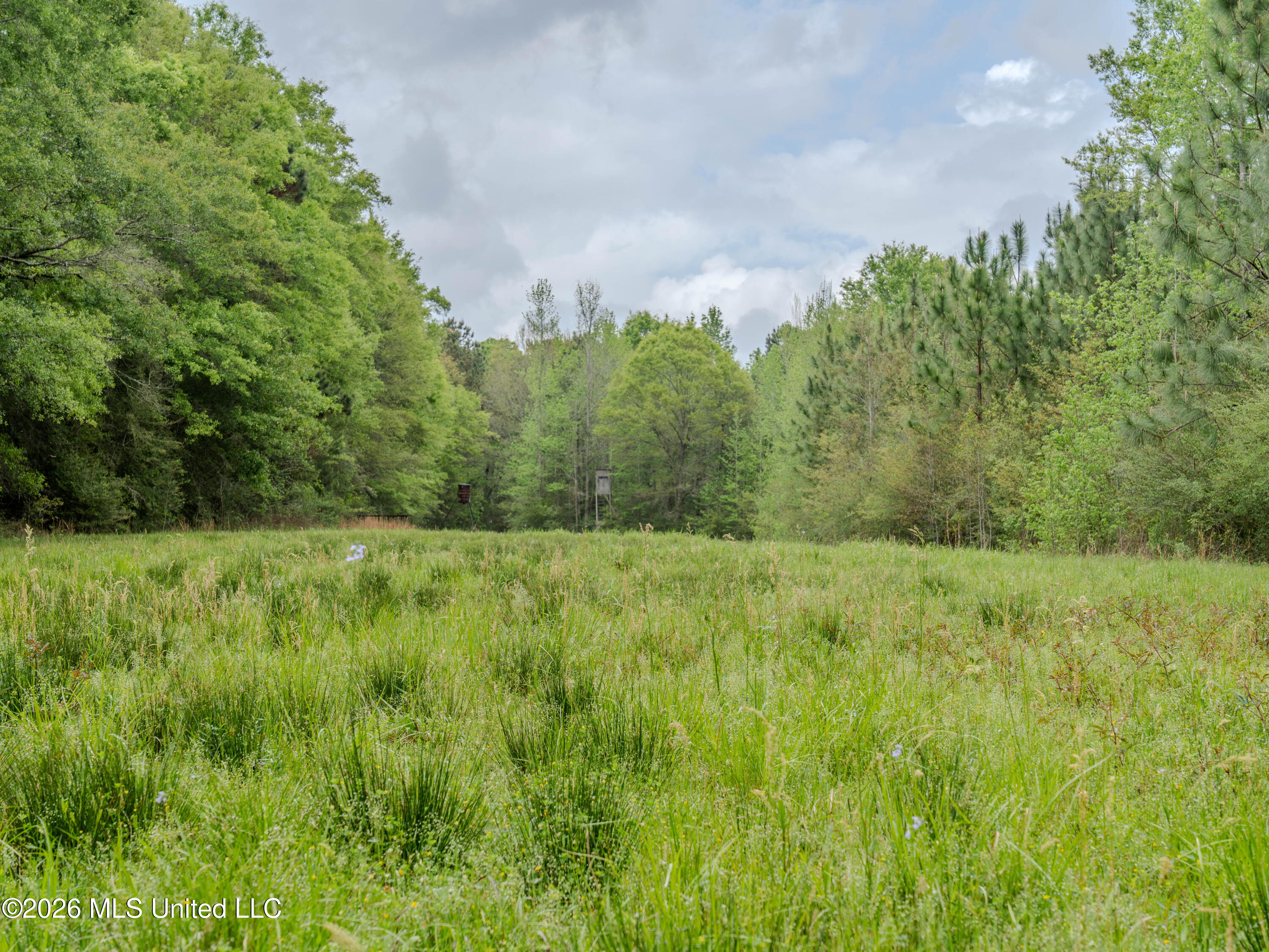 501 Stanford Lake Road Property Photo 51