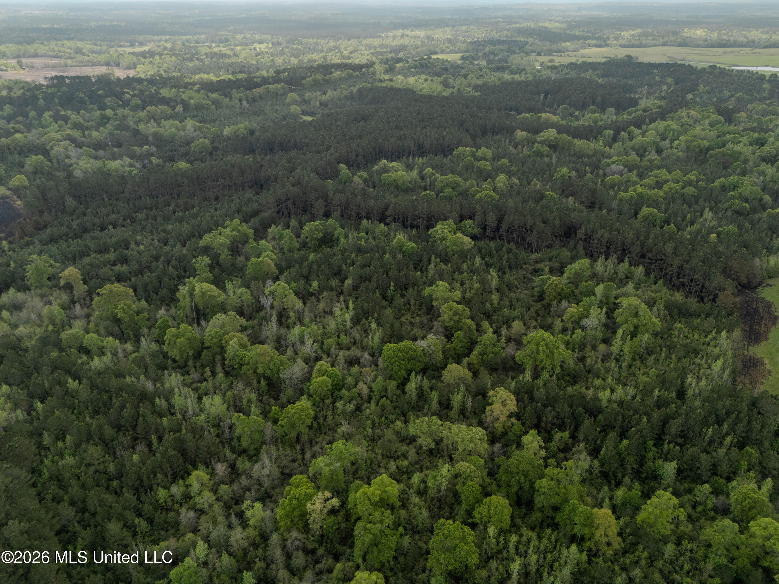 501 Stanford Lake Road Property Photo 75