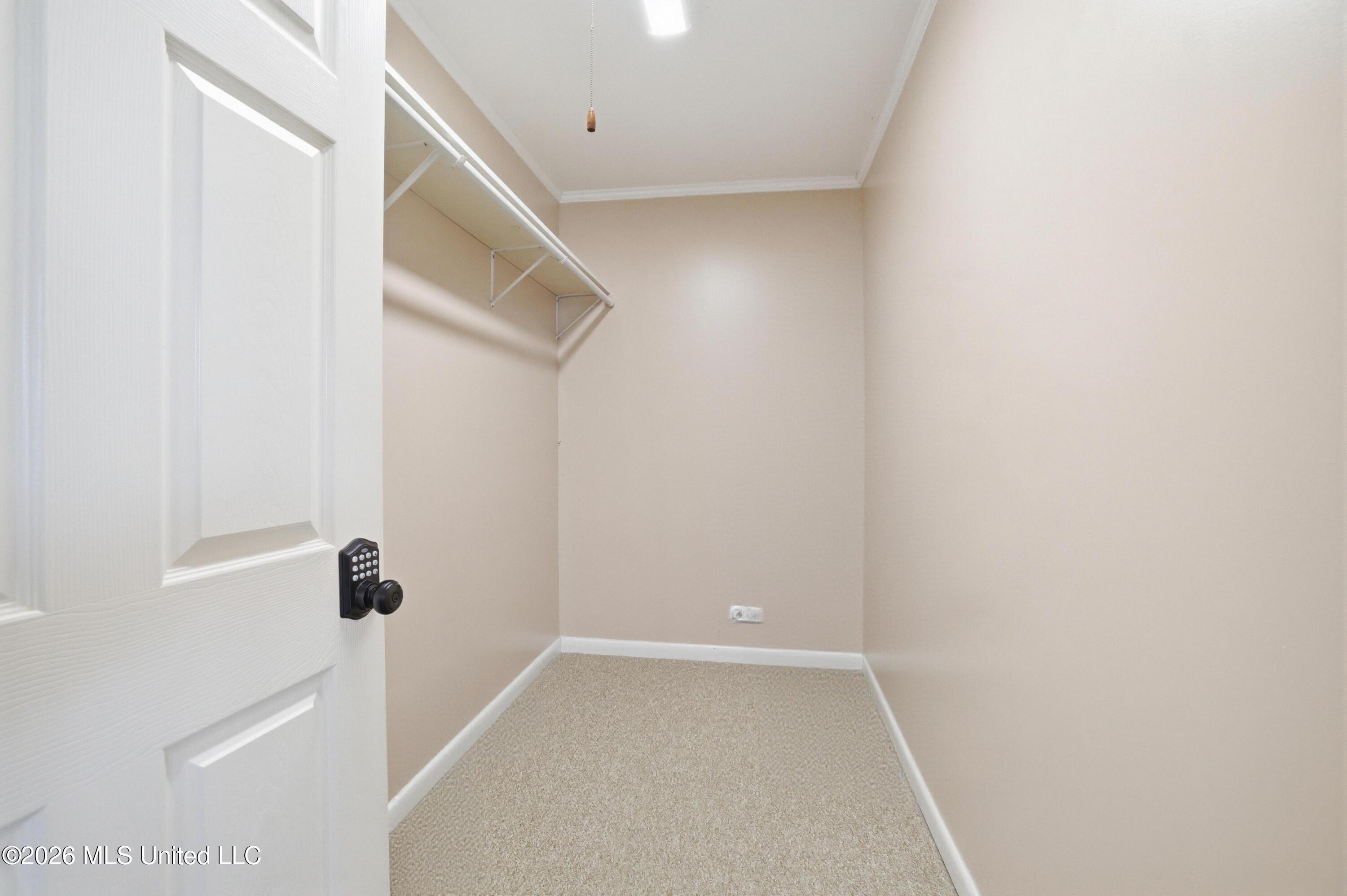 3309 Mary Walker Drive Property Photo 25
