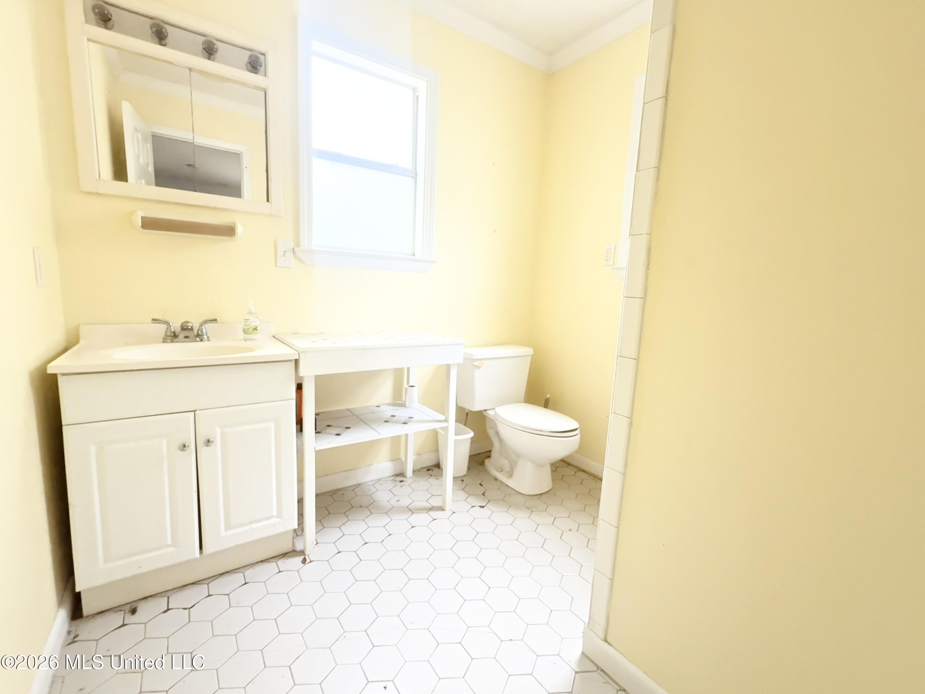 3309 Mary Walker Drive Property Photo 28