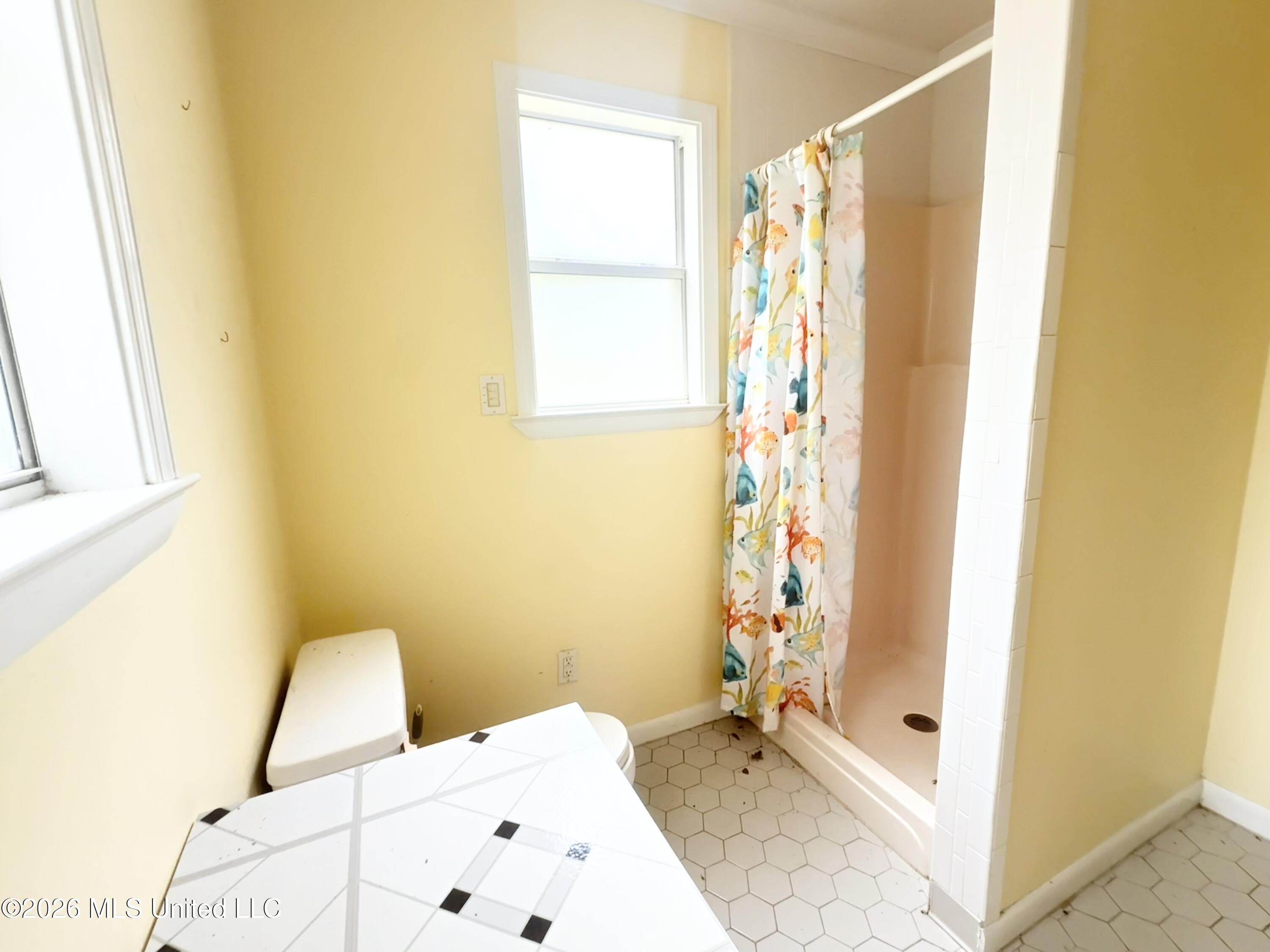 3309 Mary Walker Drive Property Photo 29