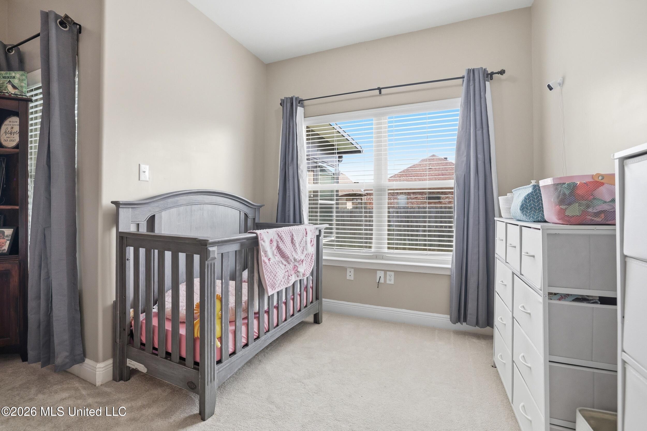 17006 Sago Drive Property Photo 26