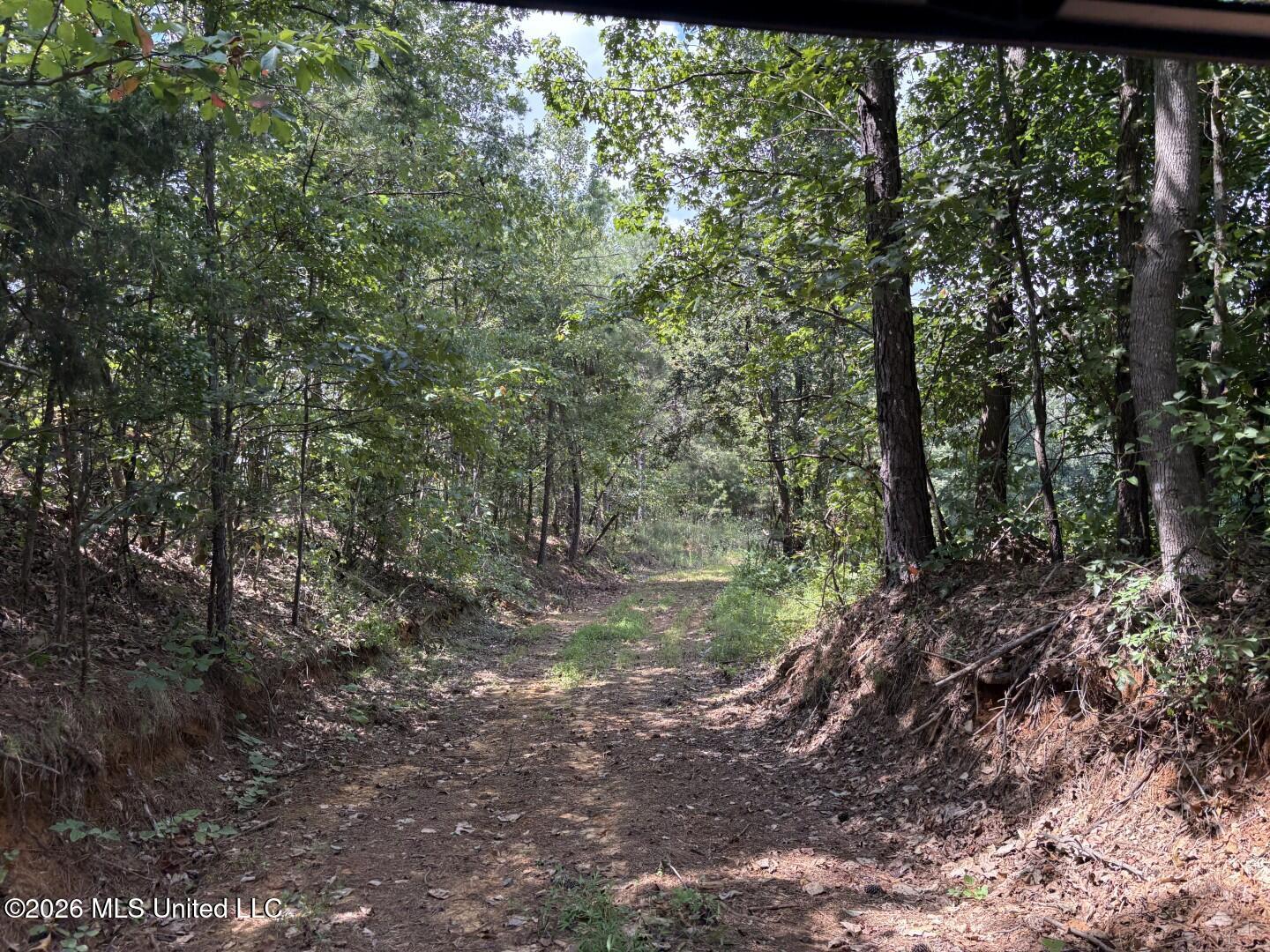 Mississippi 9 Property Photo 1