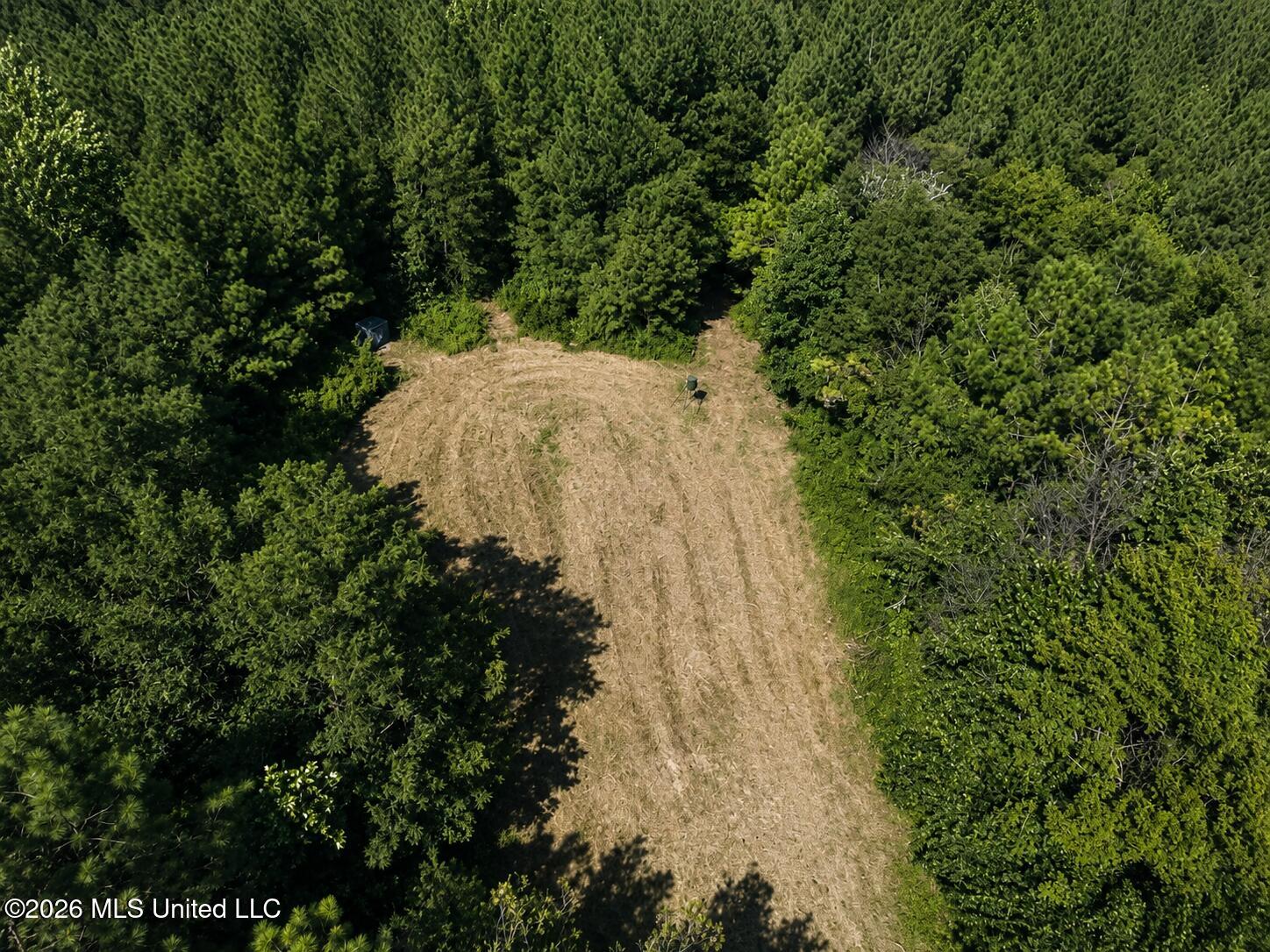 Mississippi 9 Property Photo 2