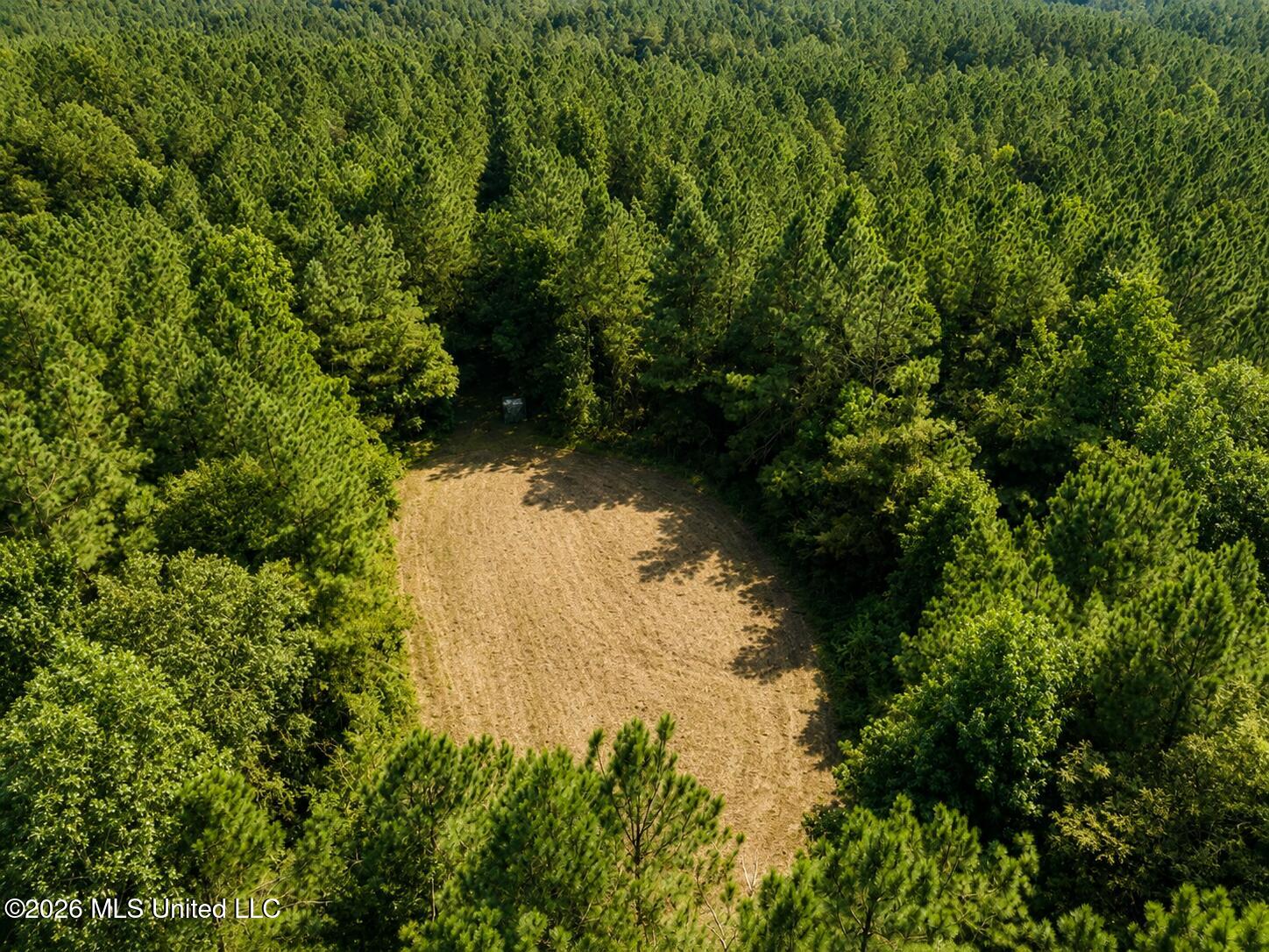 Mississippi 9 Property Photo 3