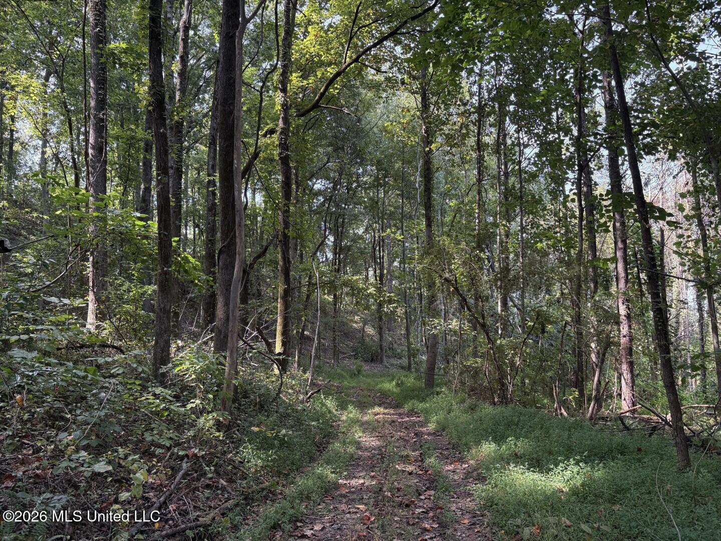 Mississippi 9 Property Photo 4