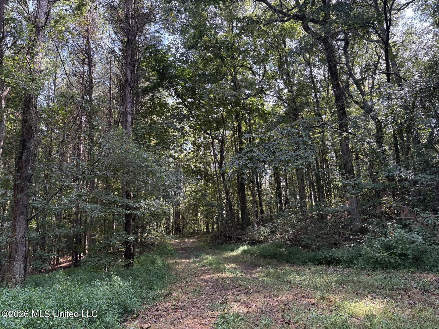 Mississippi 9 Property Photo 5