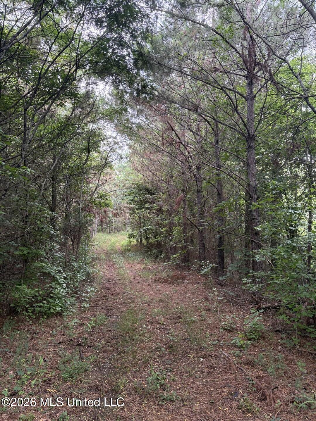 Mississippi 9 Property Photo 6