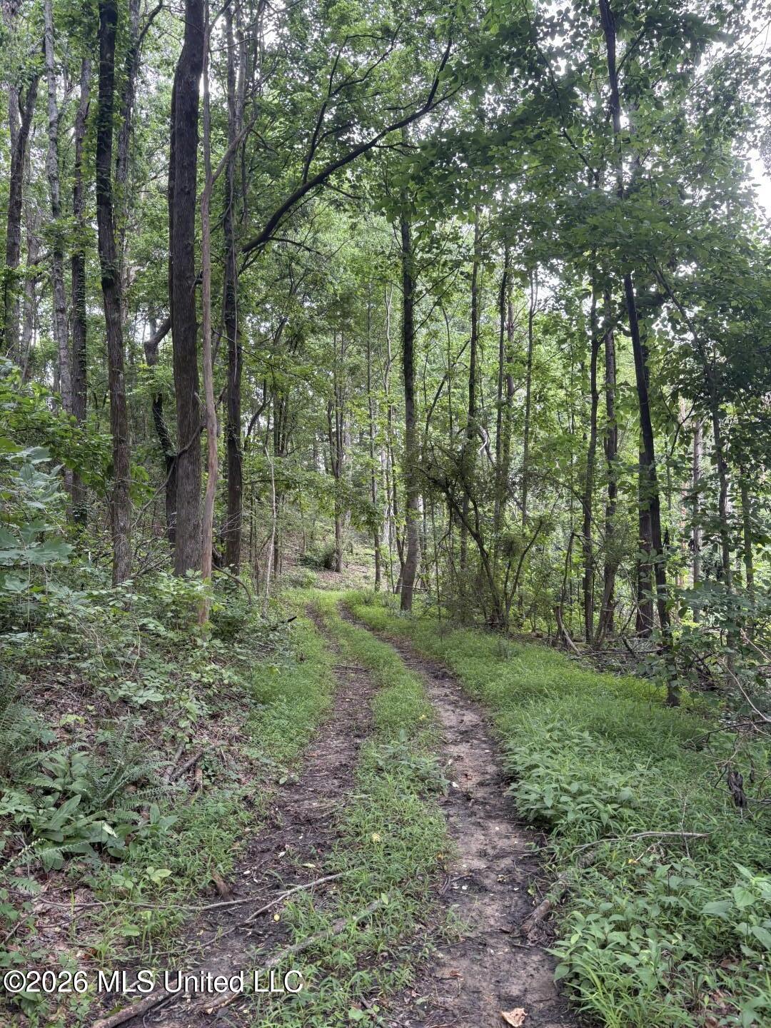 Mississippi 9 Property Photo 7