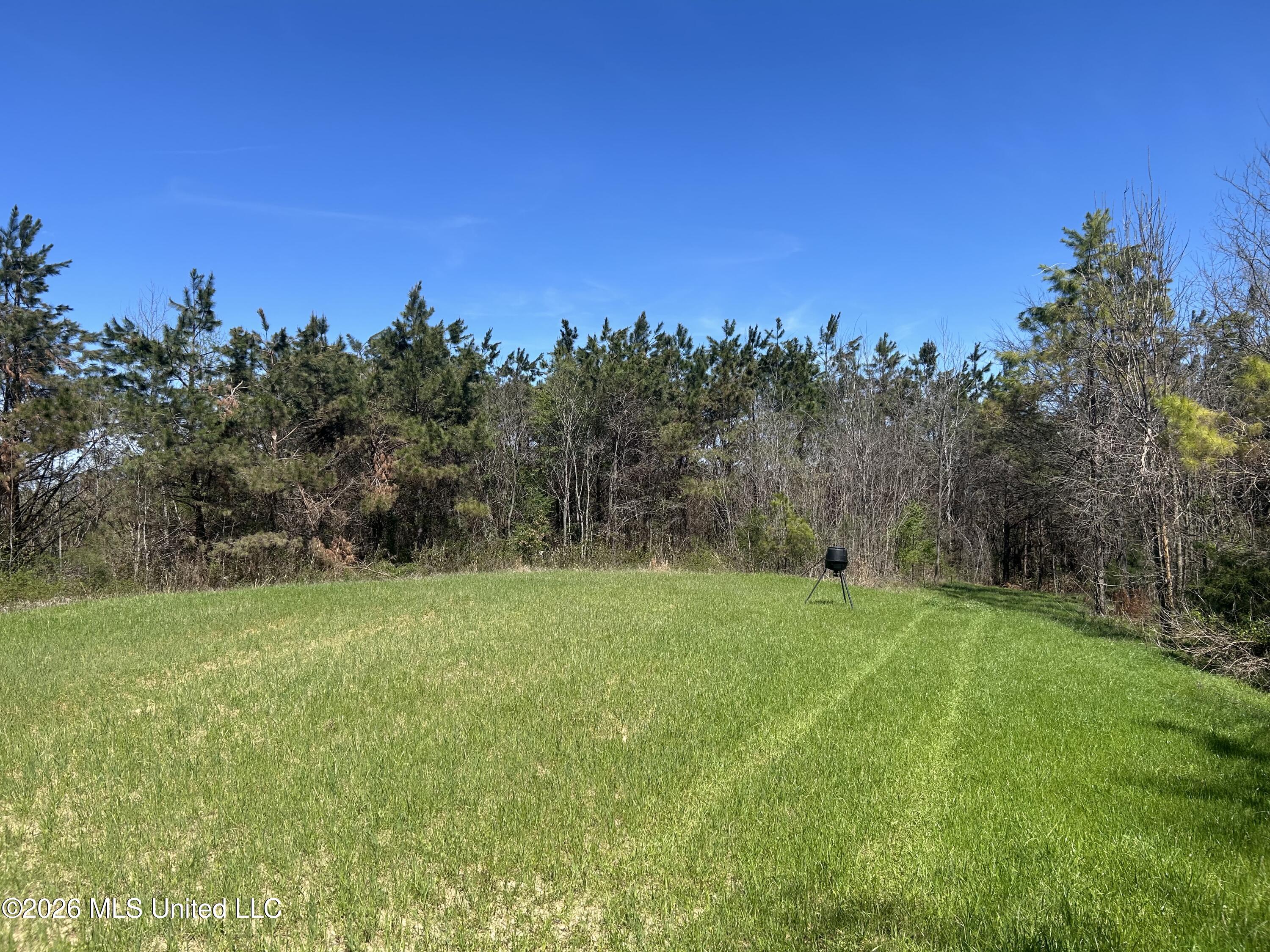 Mississippi 9 Property Photo 8