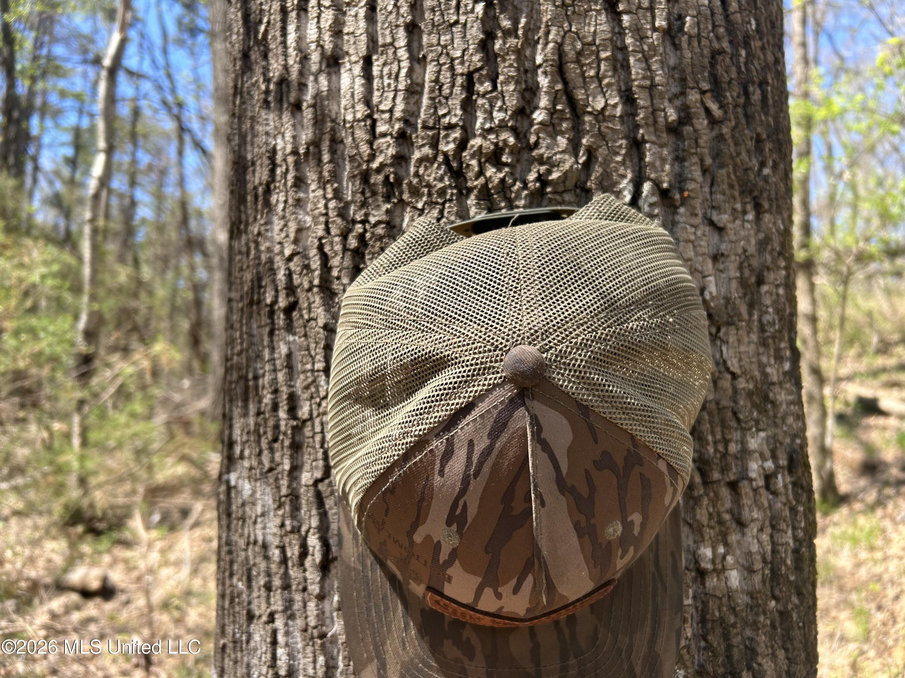 Mississippi 9 Property Photo 15