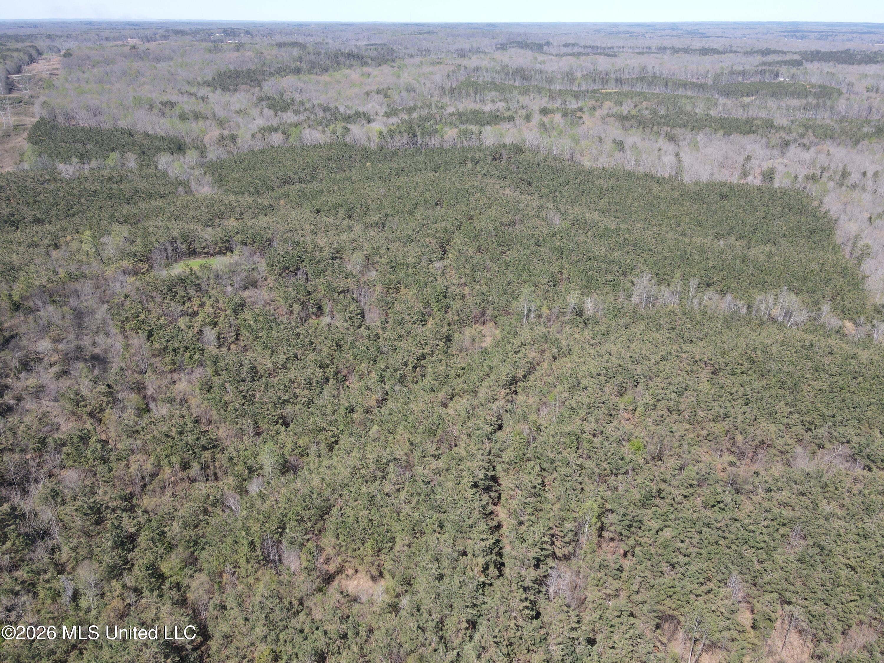 Mississippi 9 Property Photo 19