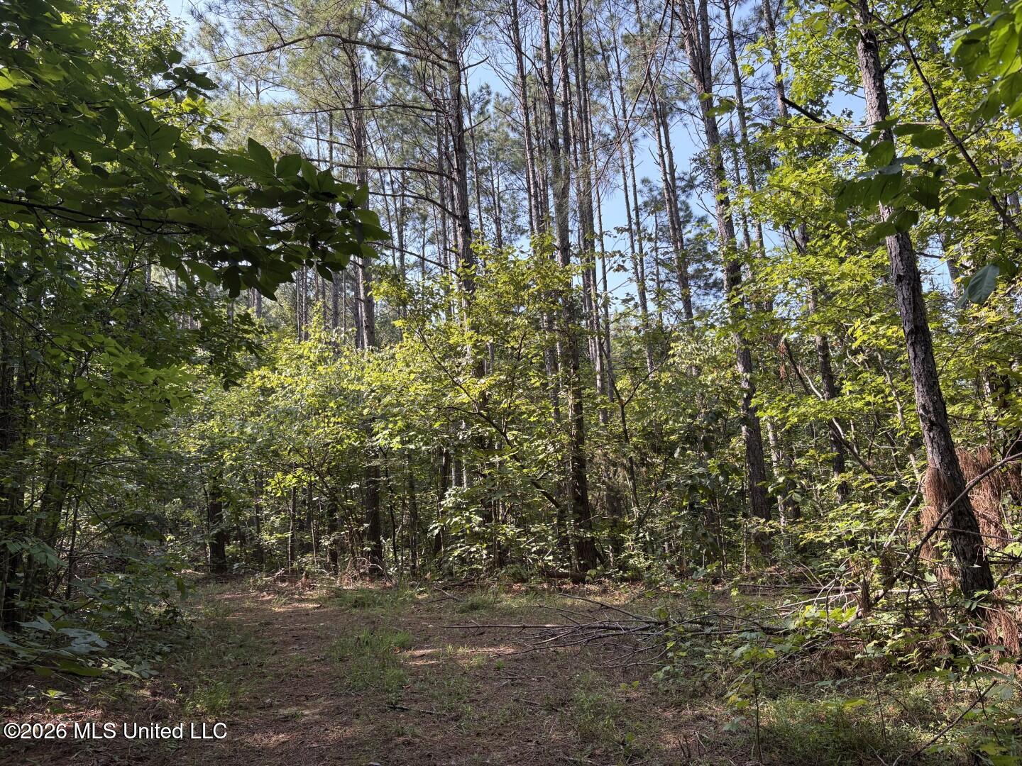 Mississippi 9 Property Photo 24